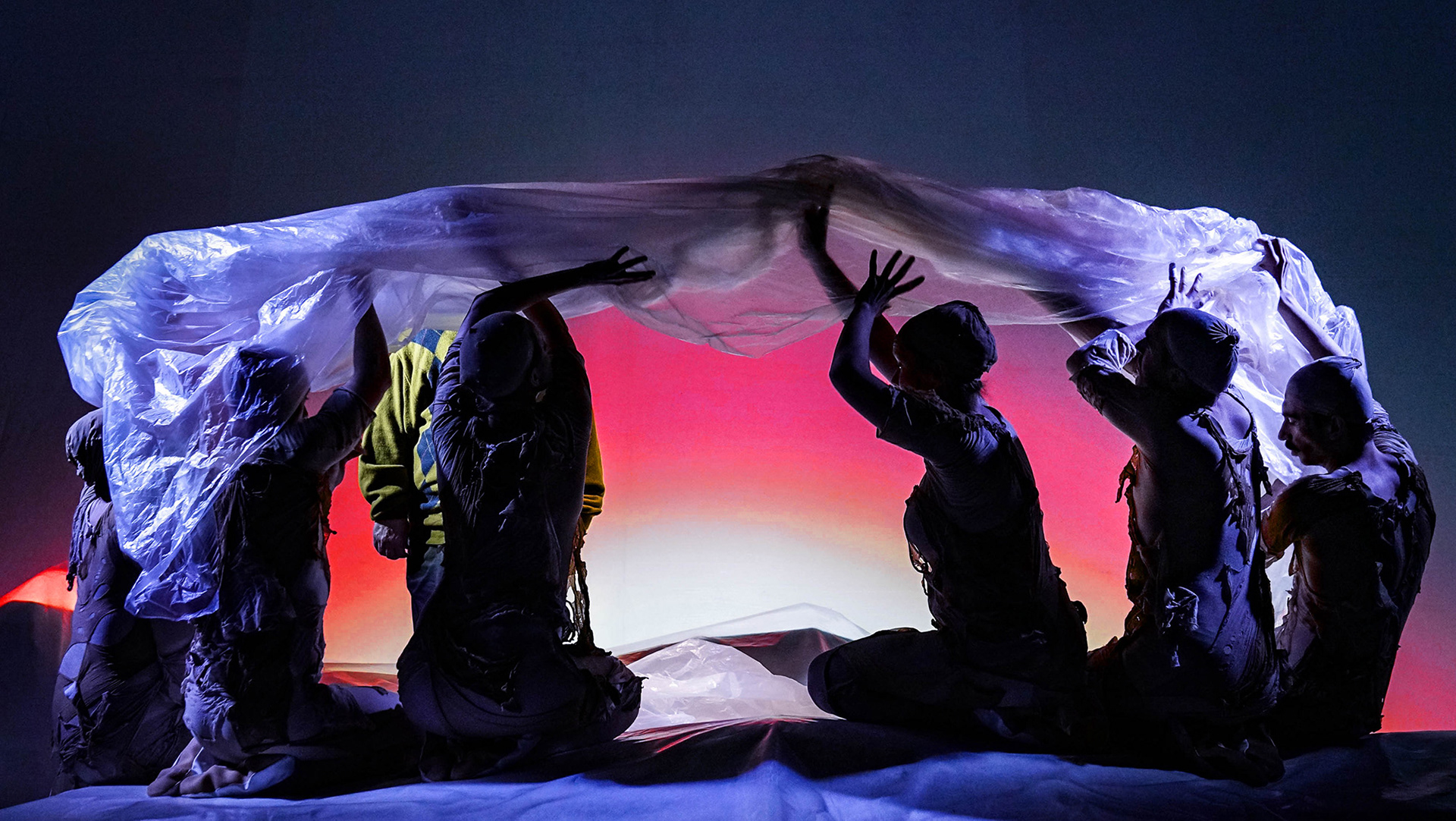 ©️Nicole Marianna Wytyczak