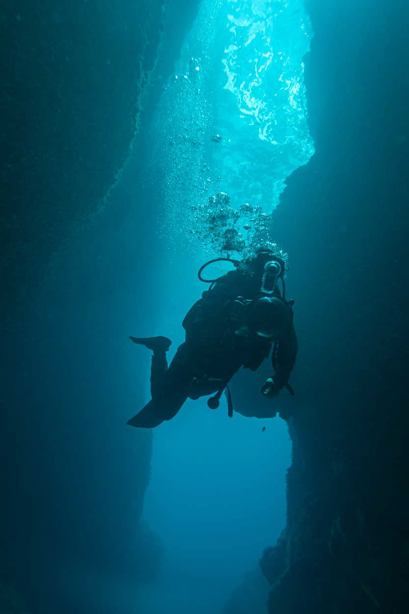 Thomas Thiele diving