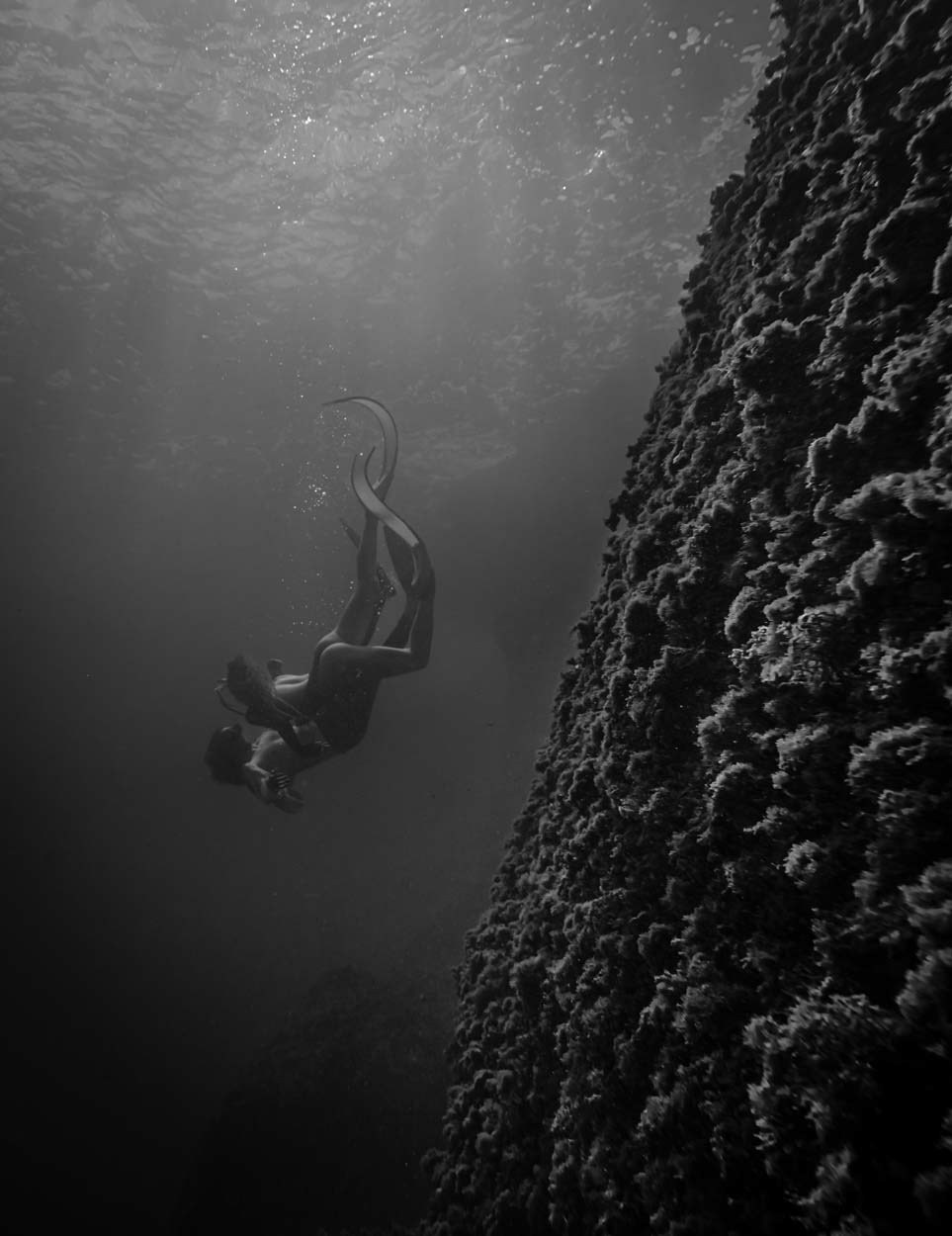 Epic diving scene under water free diving
