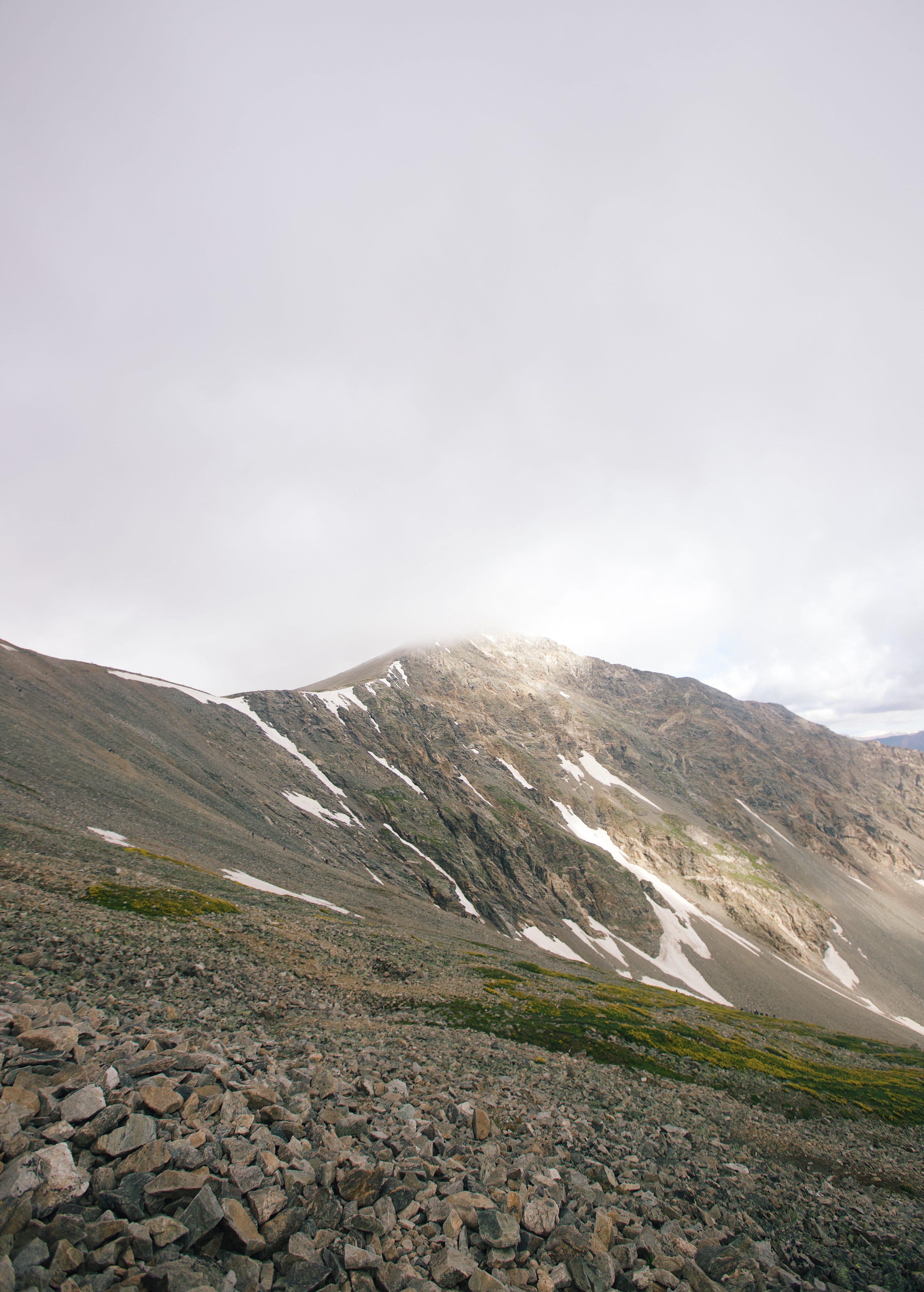 grays and torreys