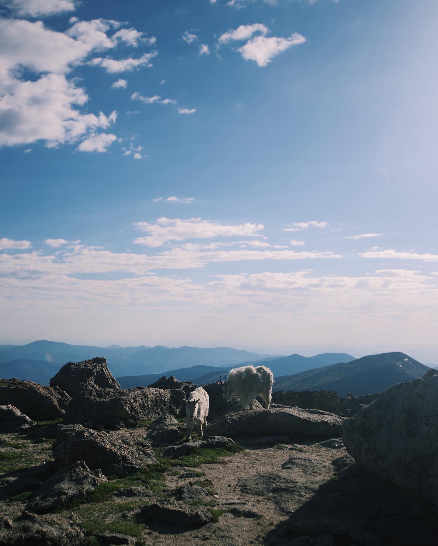 mount evans