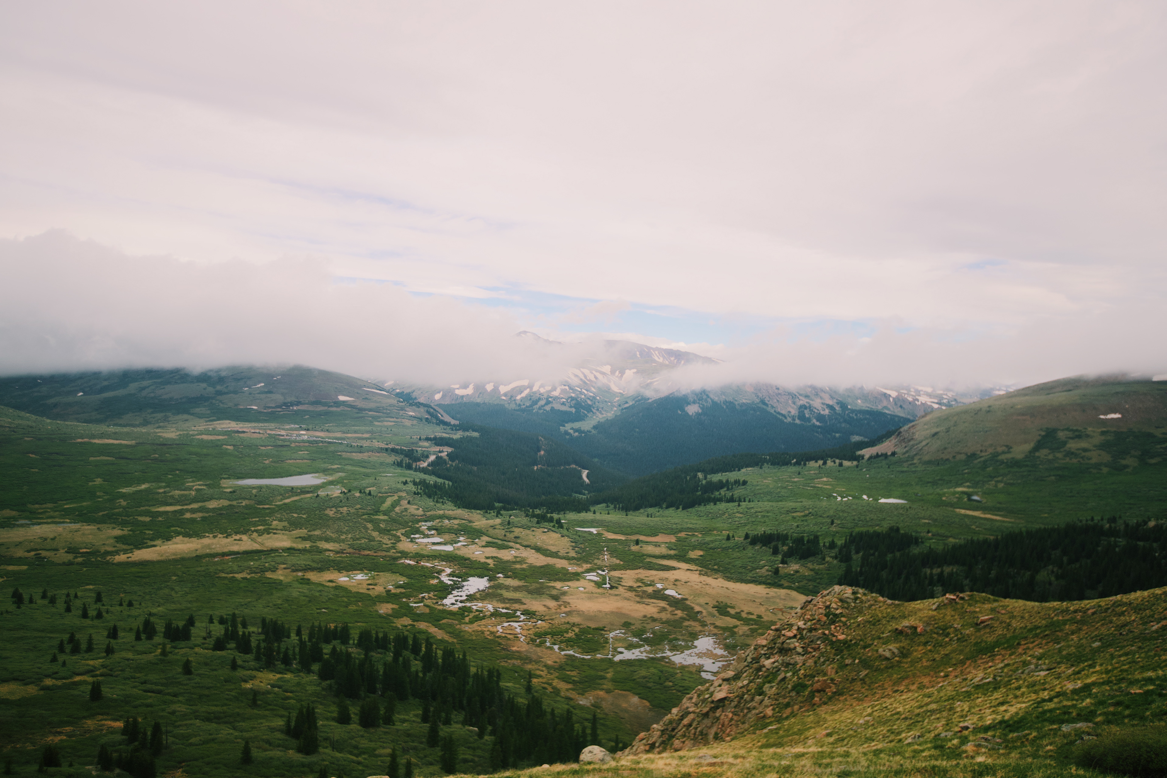 mount bierdstat