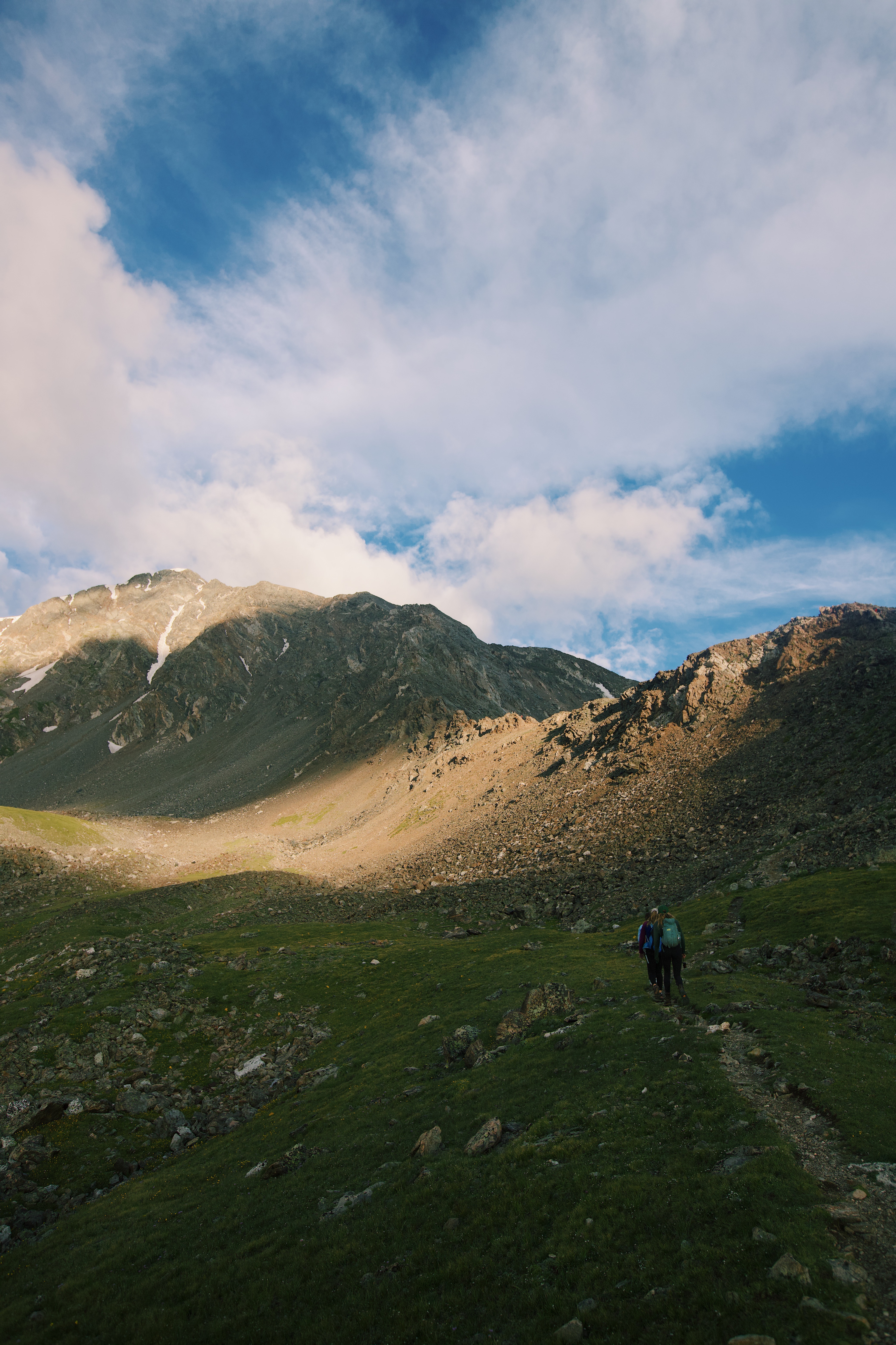 grays and torreys