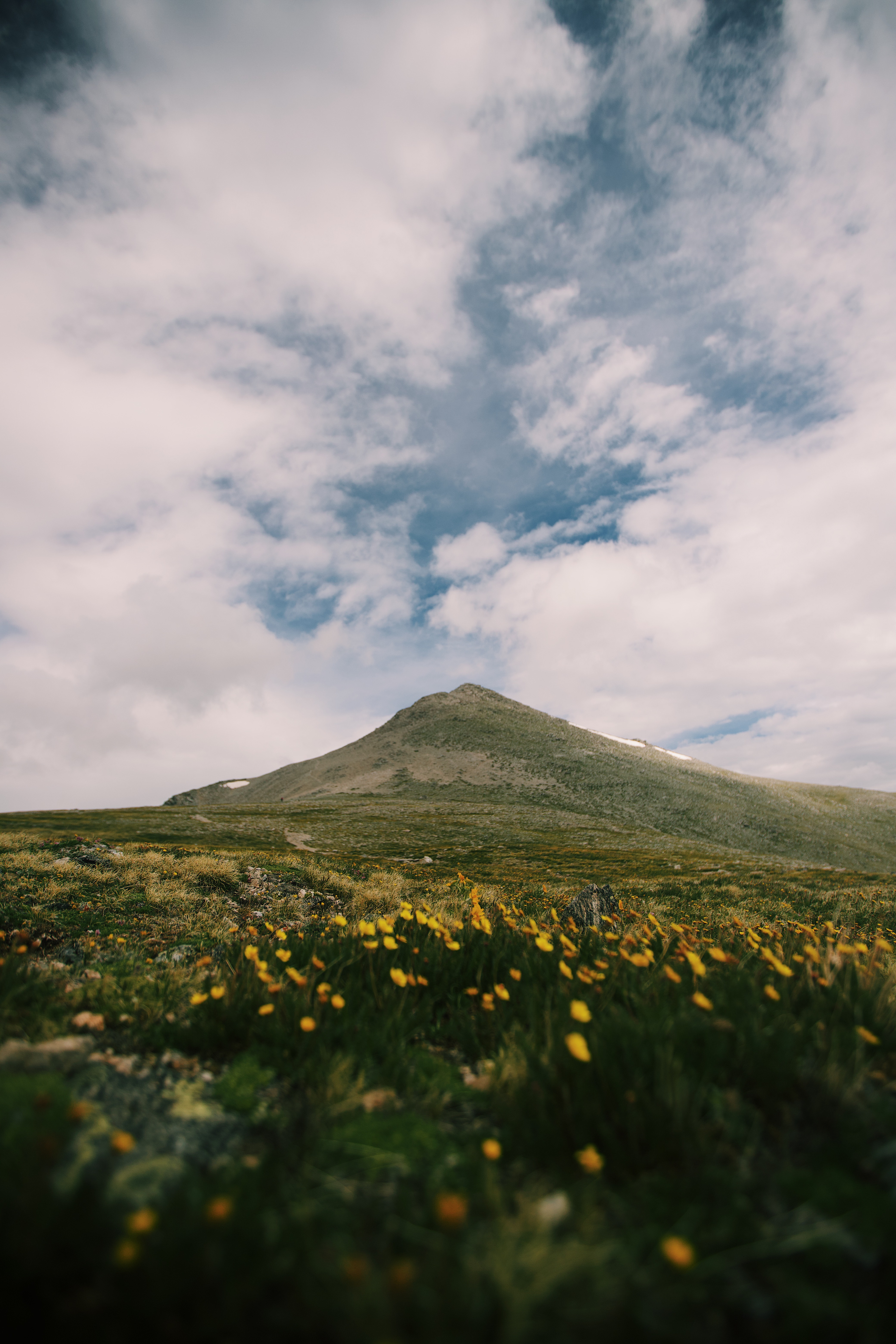 mount shavano and tabeguache peak