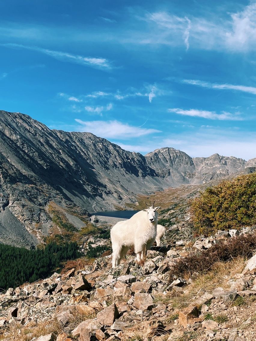 quandary peak