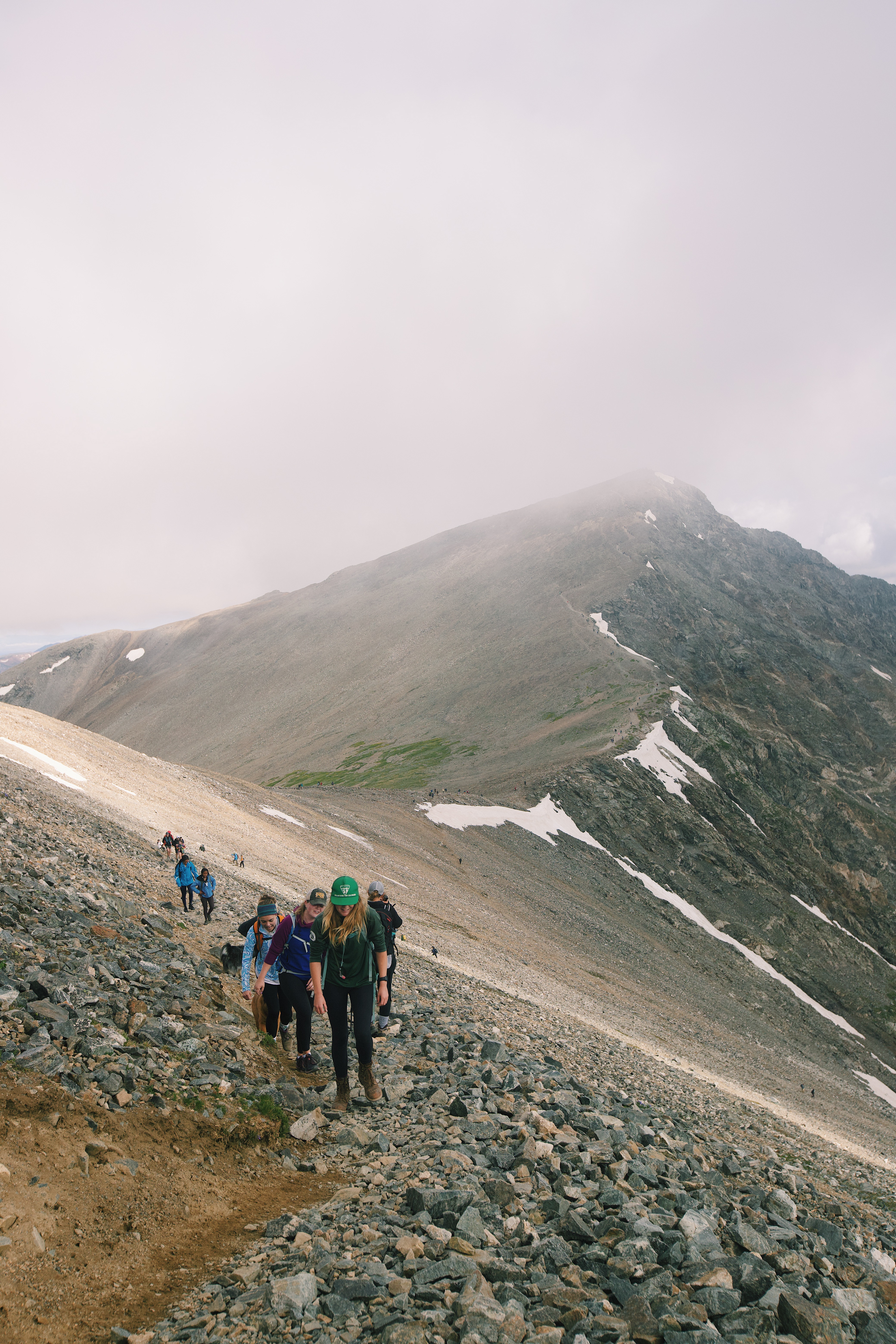 grays and torreys