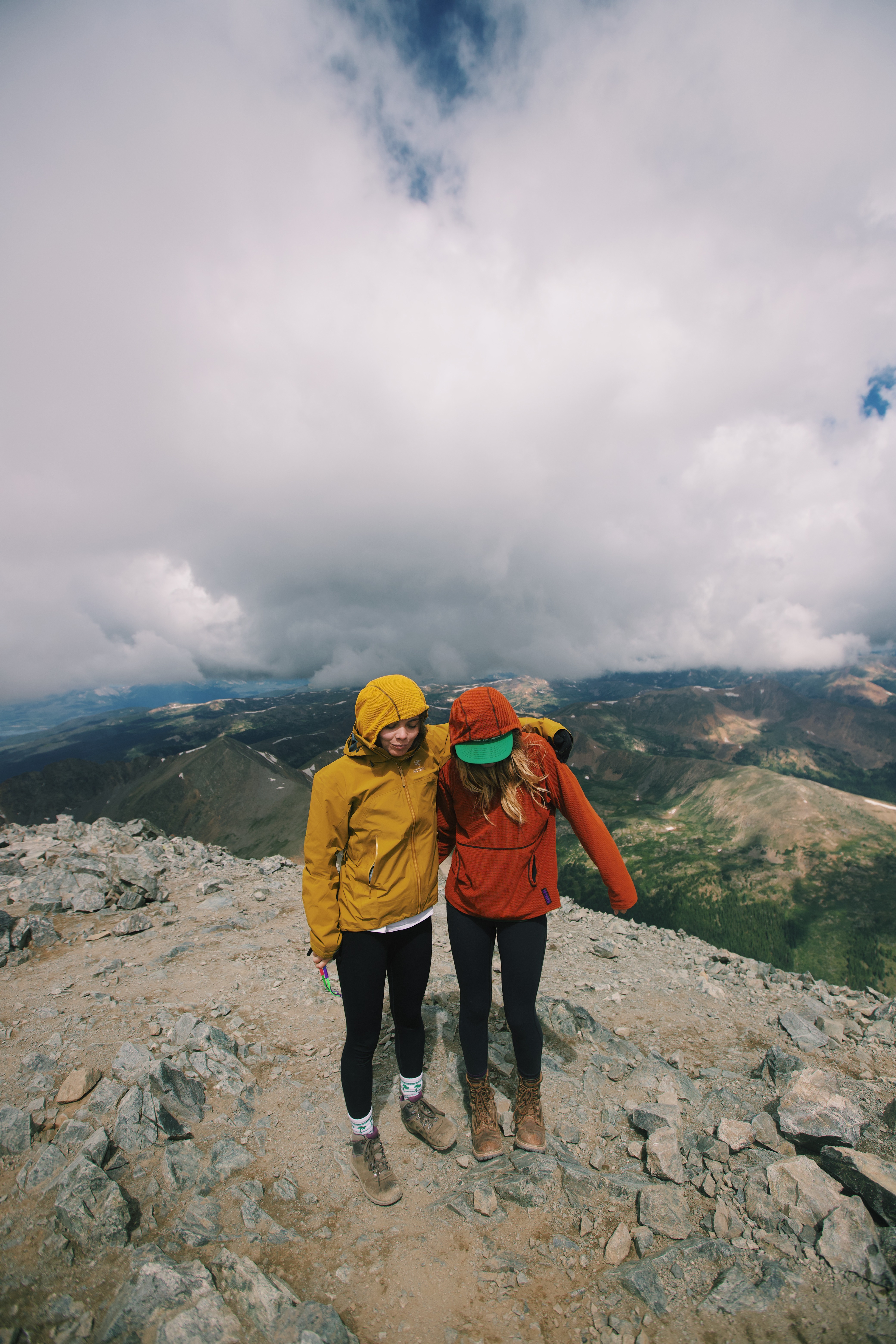 grays and torreys