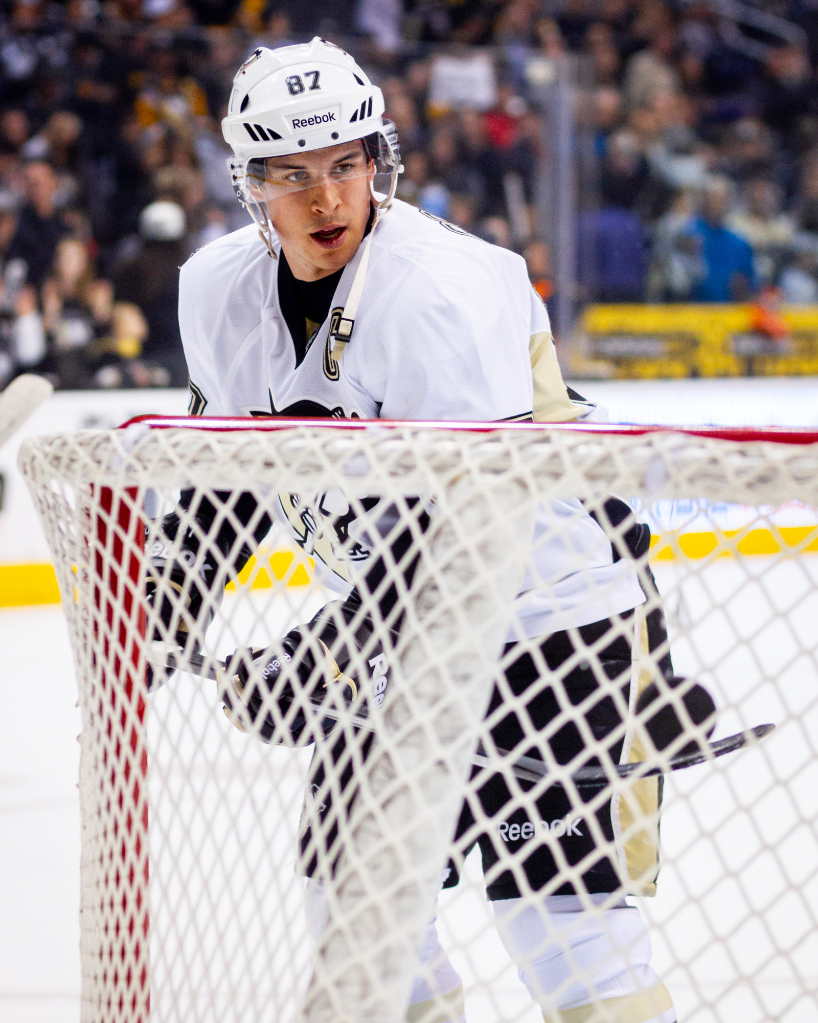 Sidney Crosby (NHL Top 100)