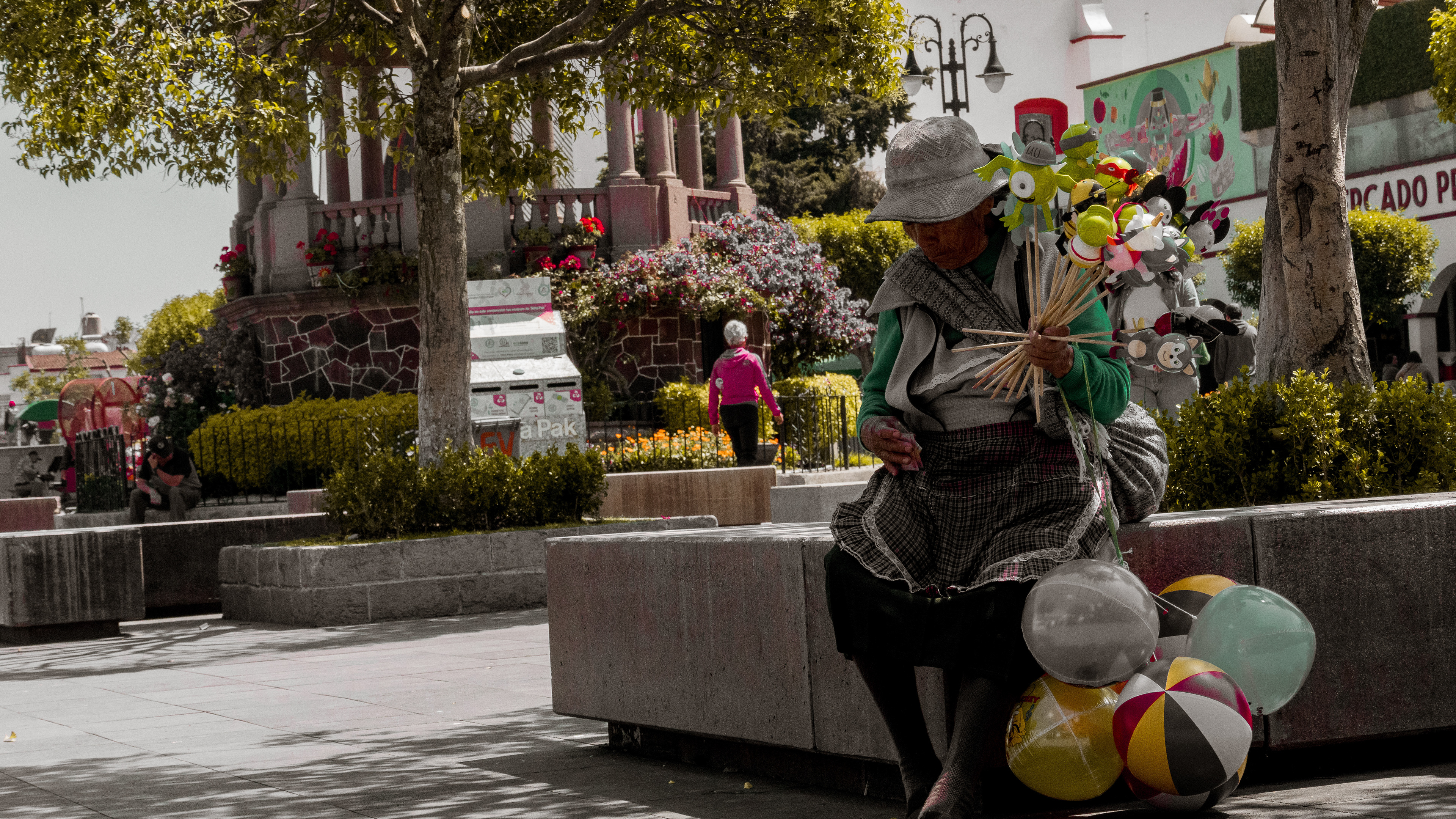 Lumix GH6 | G-Vario 12-60 mm