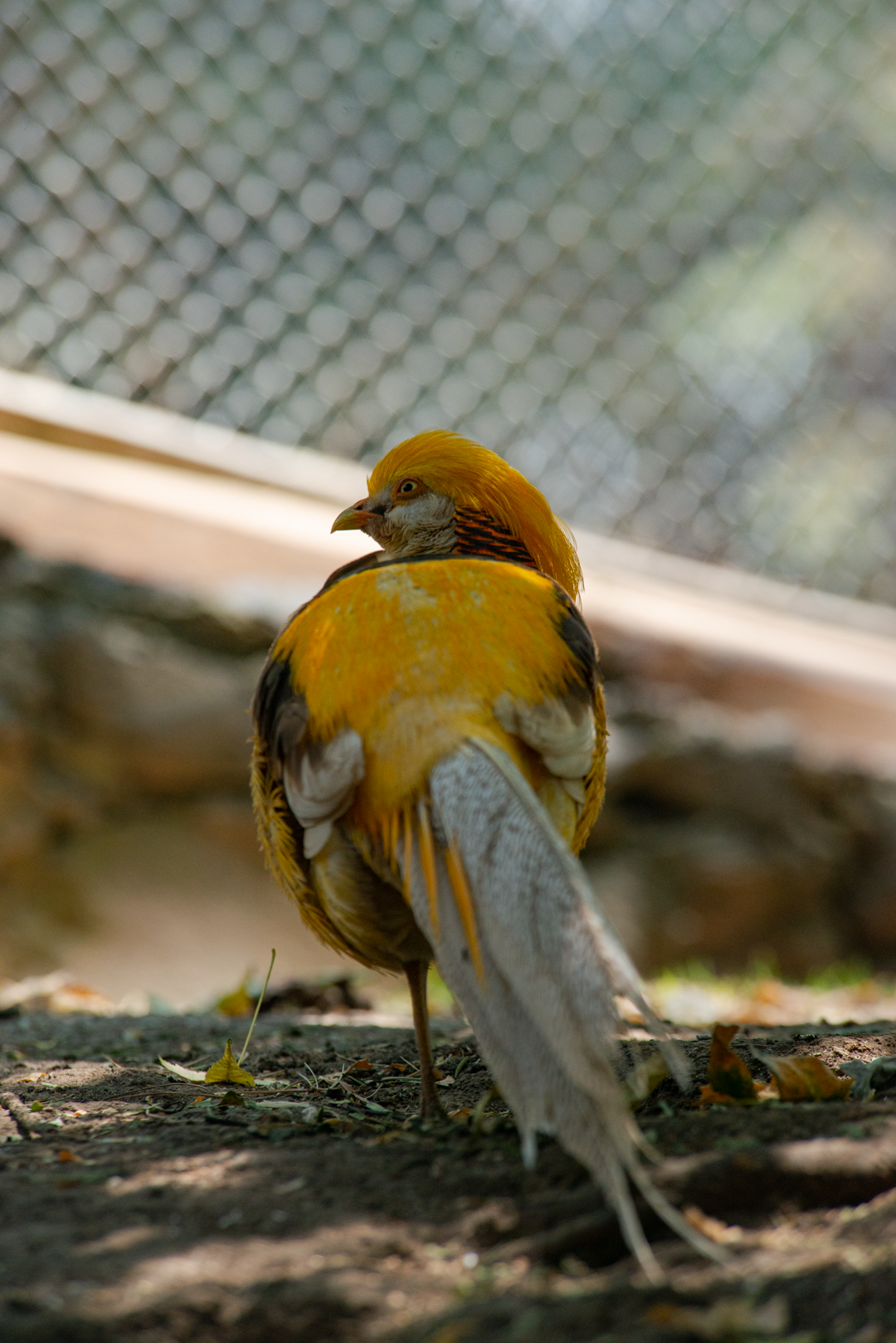 Nikon D800 | 80-400 mm