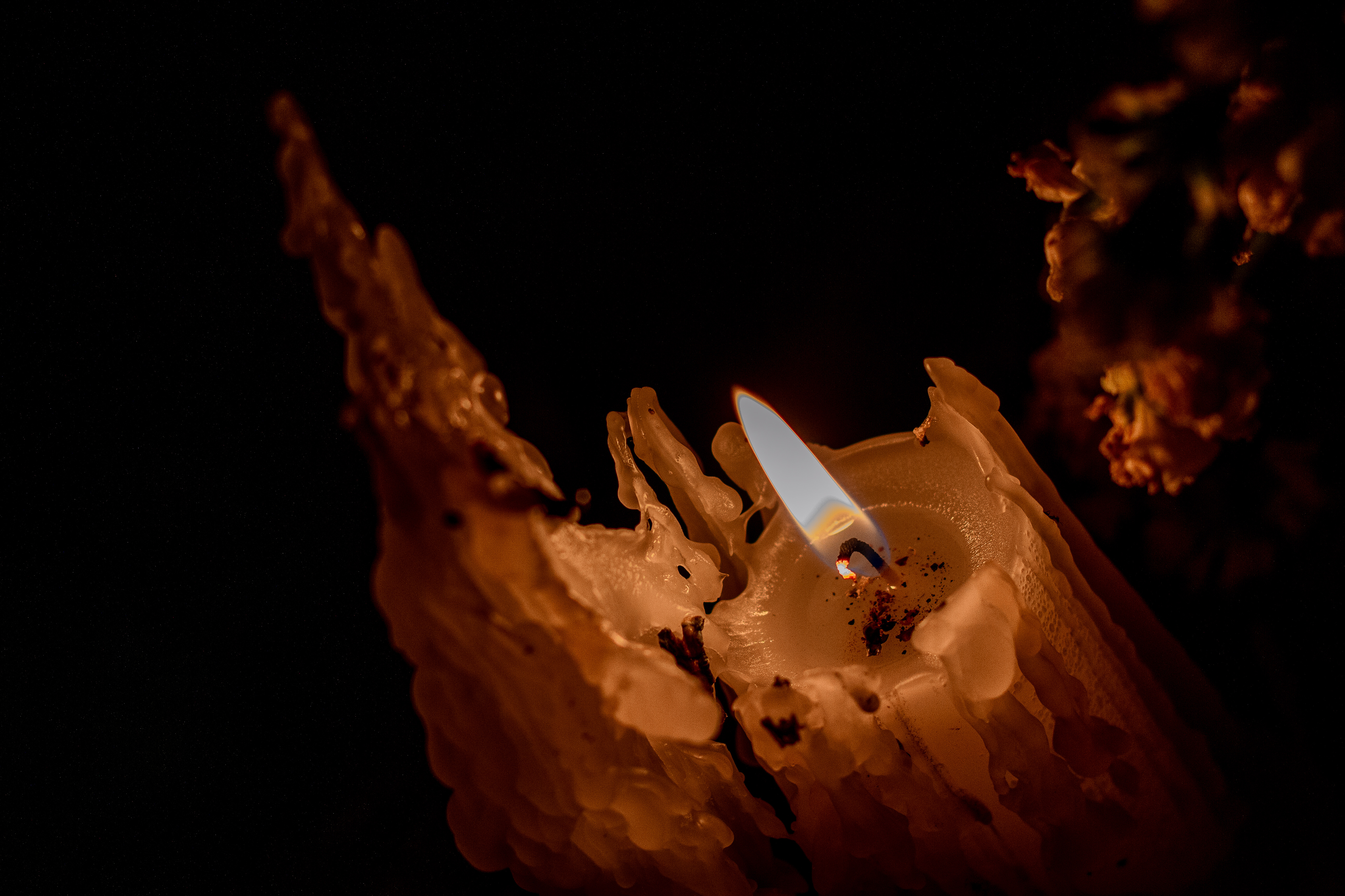 Canon 7D | 50 mm