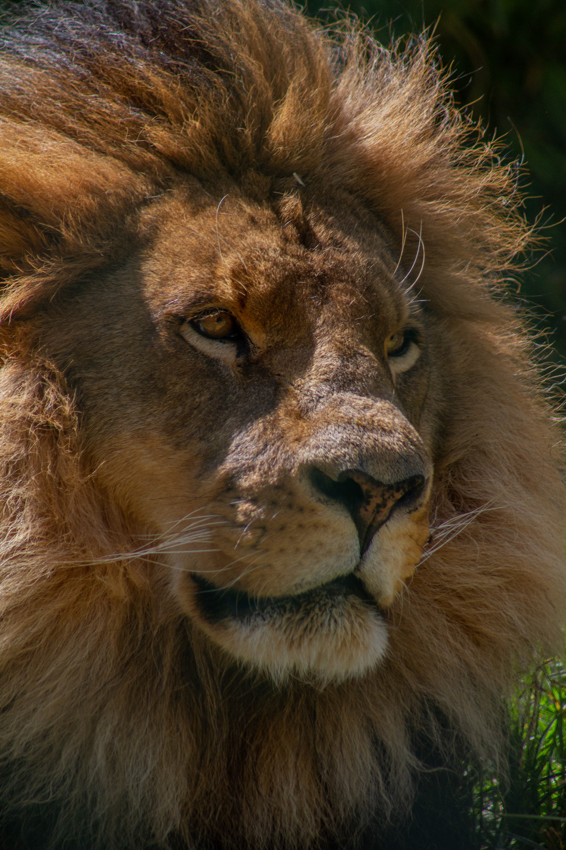 Canon 7D | 75-300 mm