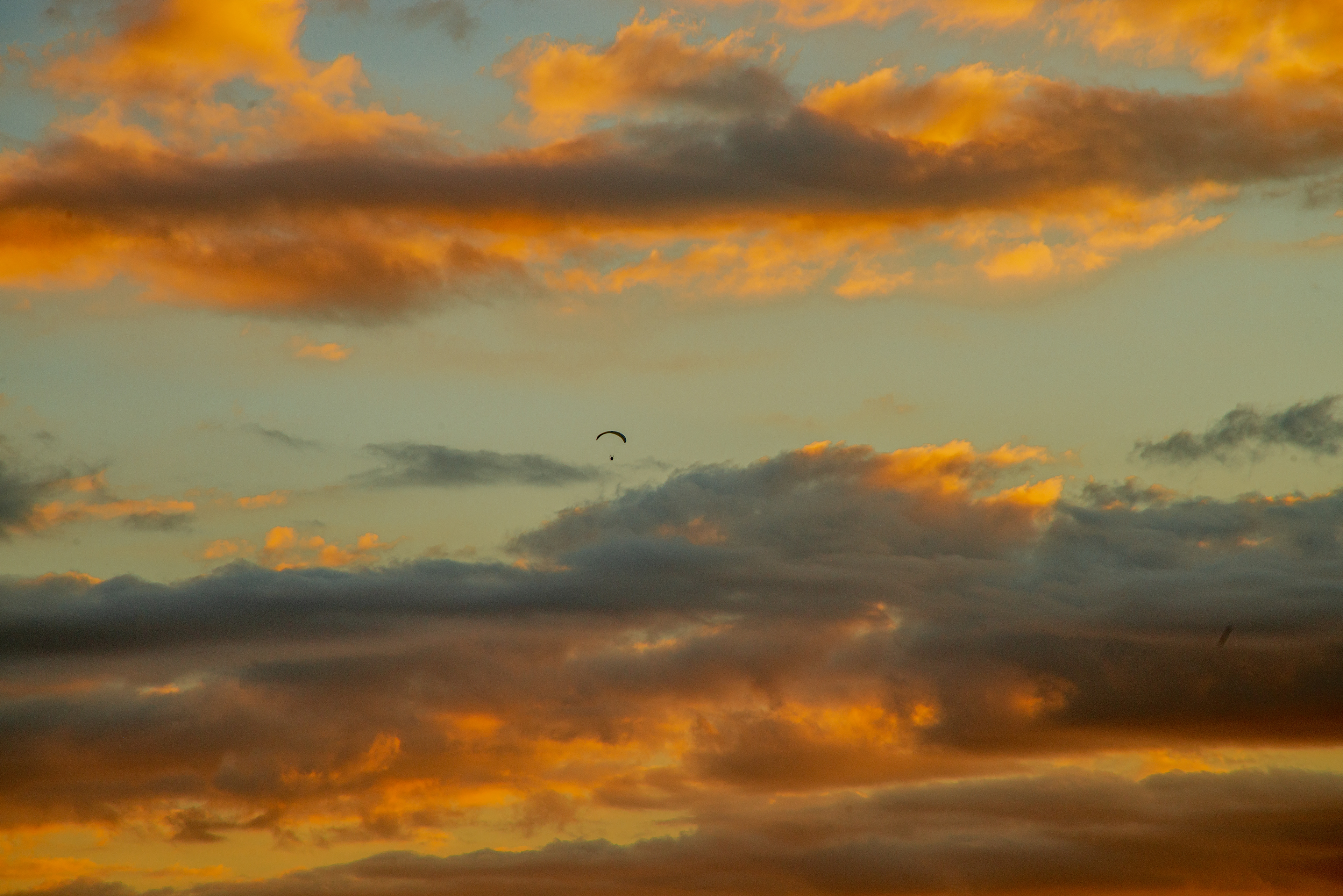 Nikon D800 | 14-140 mm