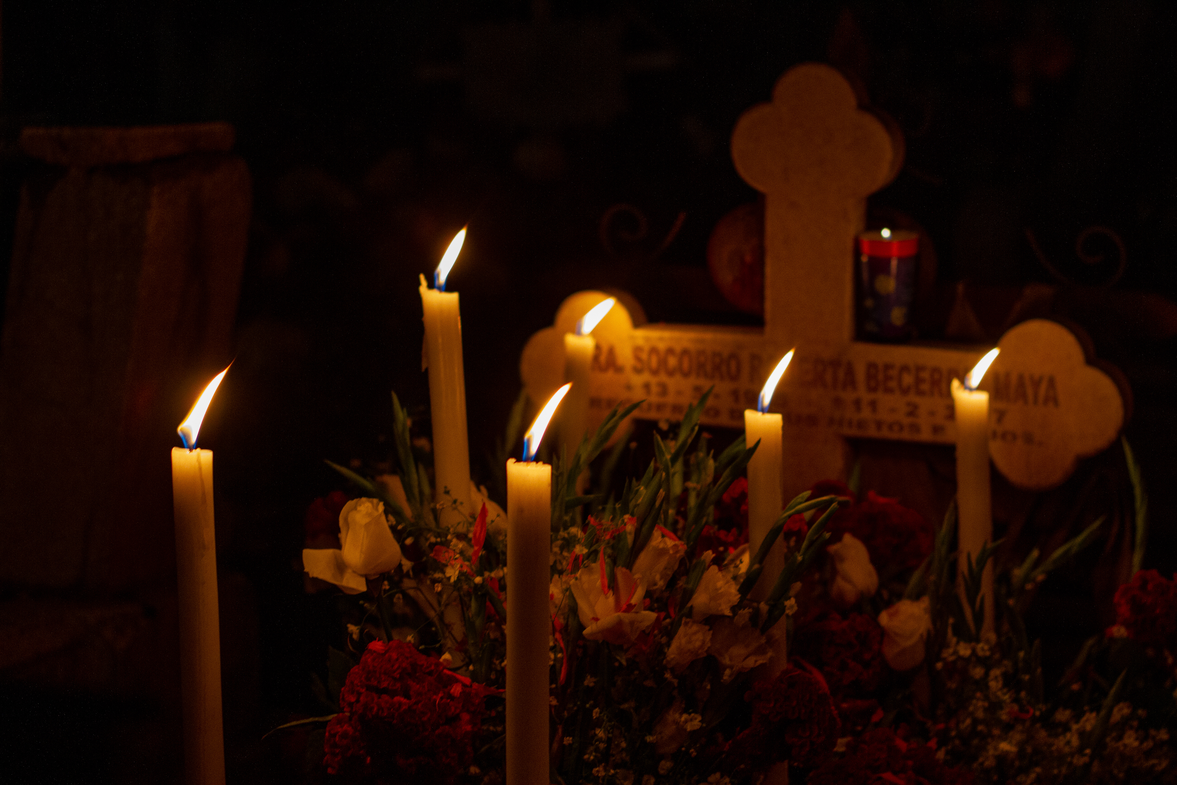 Canon 7D | 50 mm