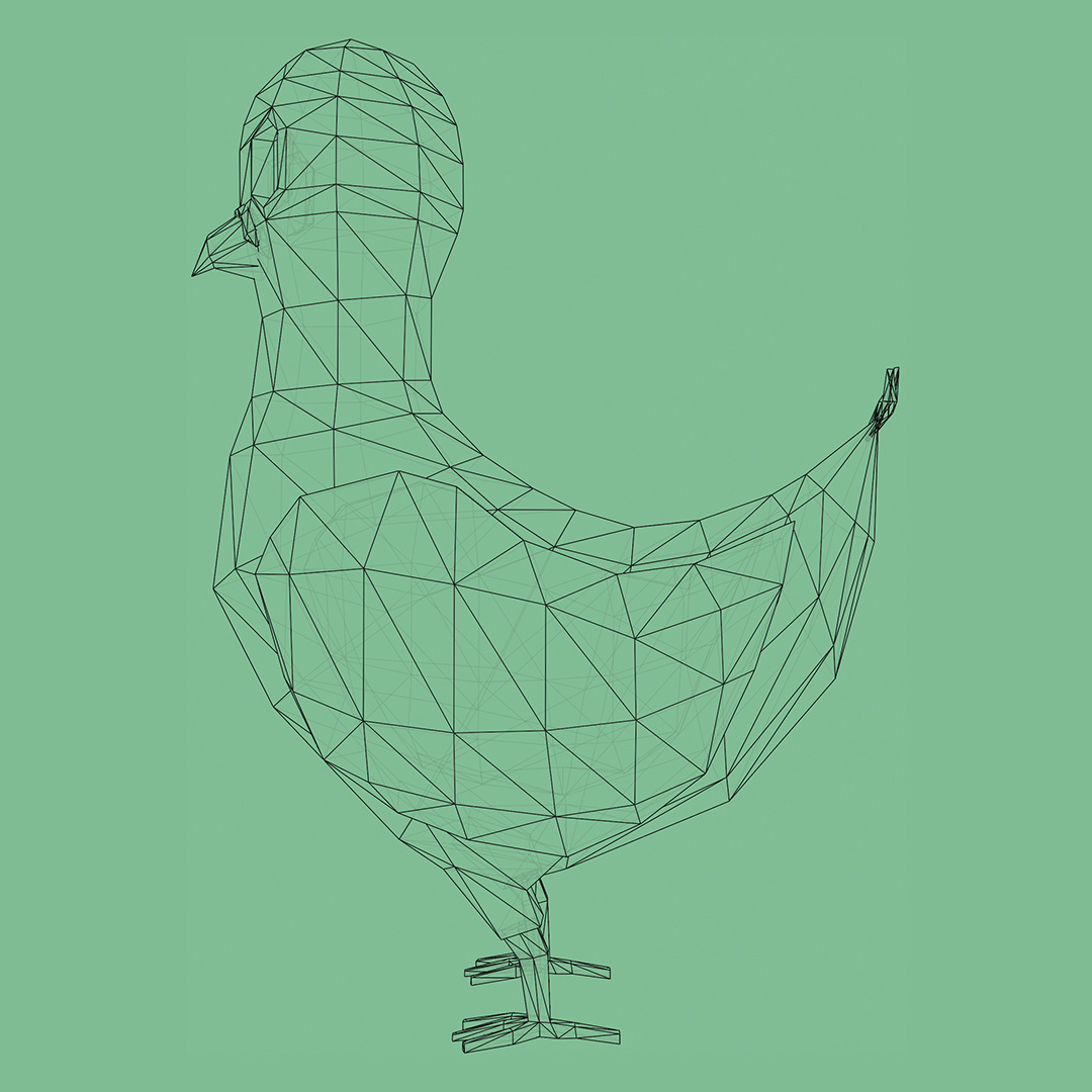 wireframe