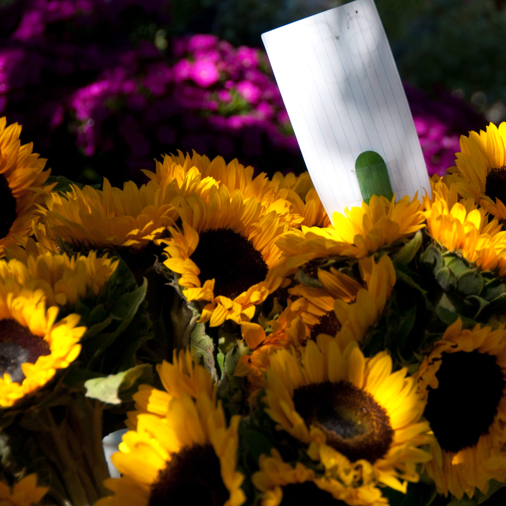 Market - Napa, California