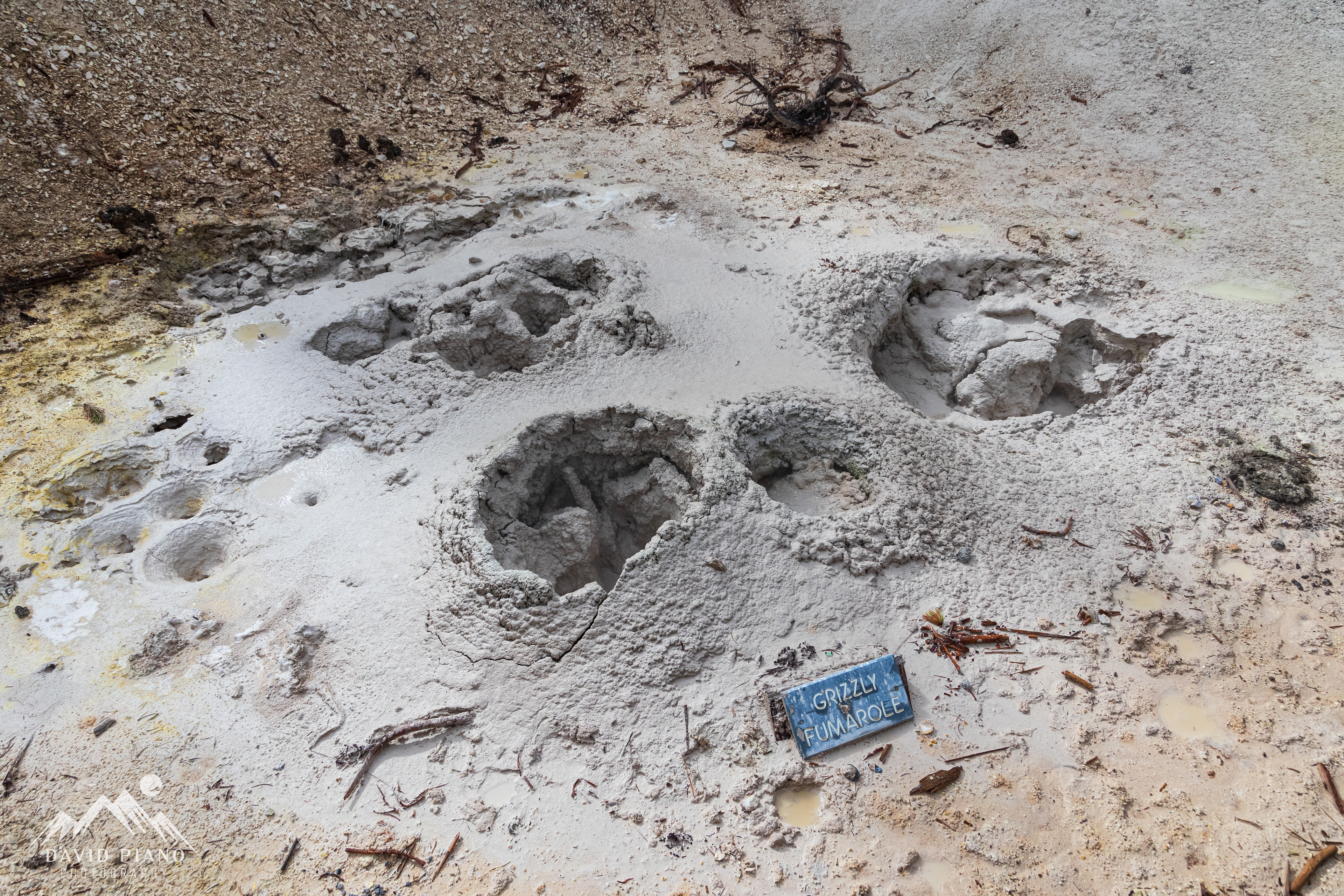 Grizzly Fumarole