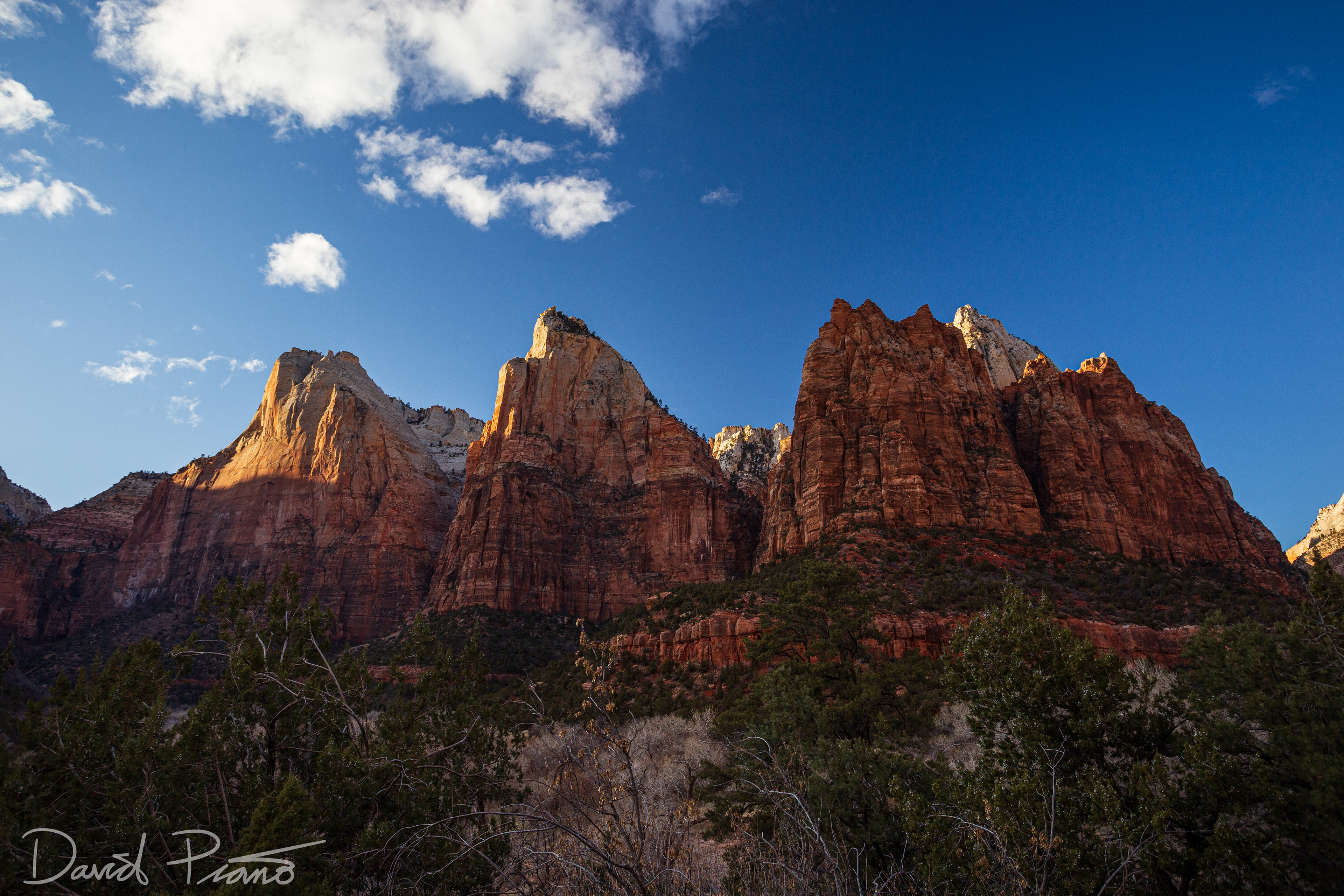 Court of the Patriarchs - Feb. 2020