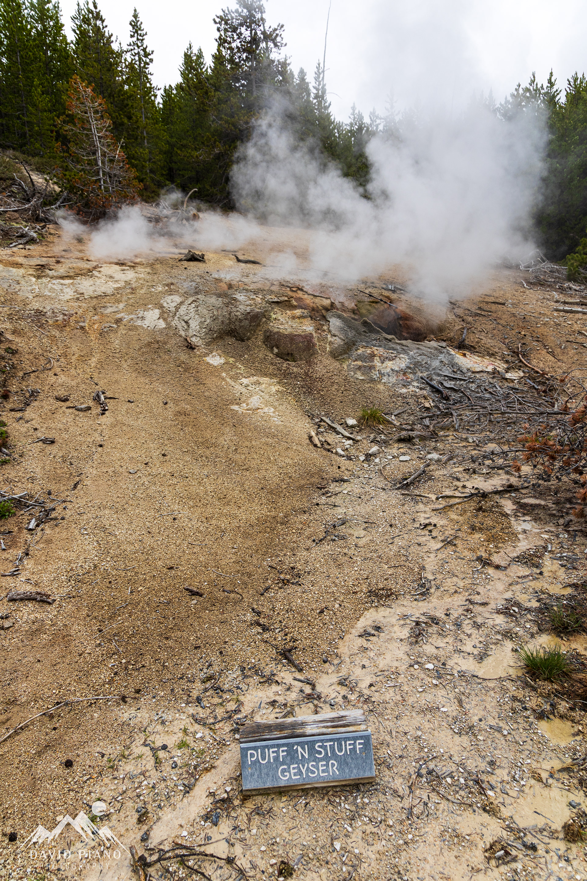 Puff 'n Stuff Geyser