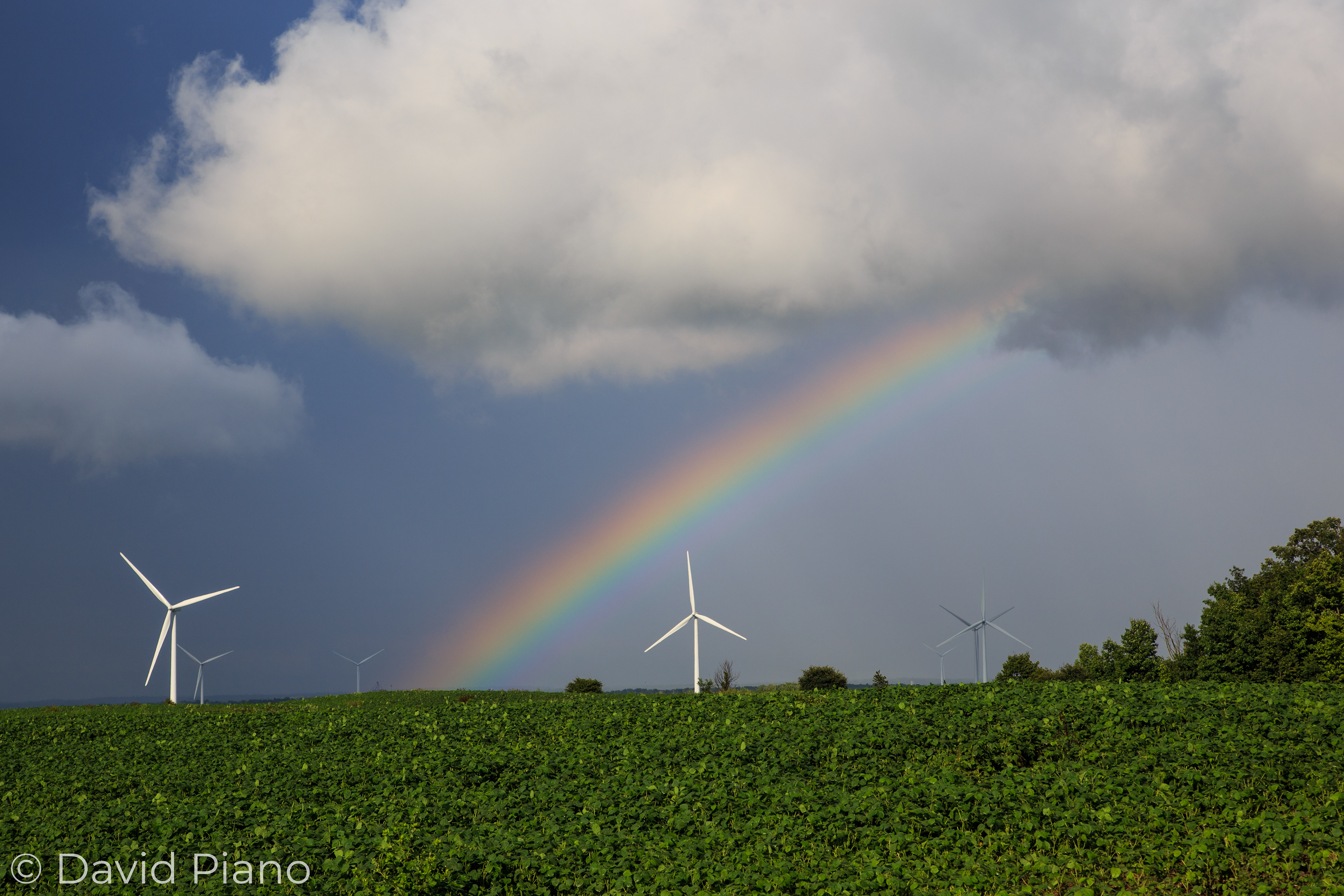 Wind Farm Rainbow - Parkhill, ON - 07/26/2018