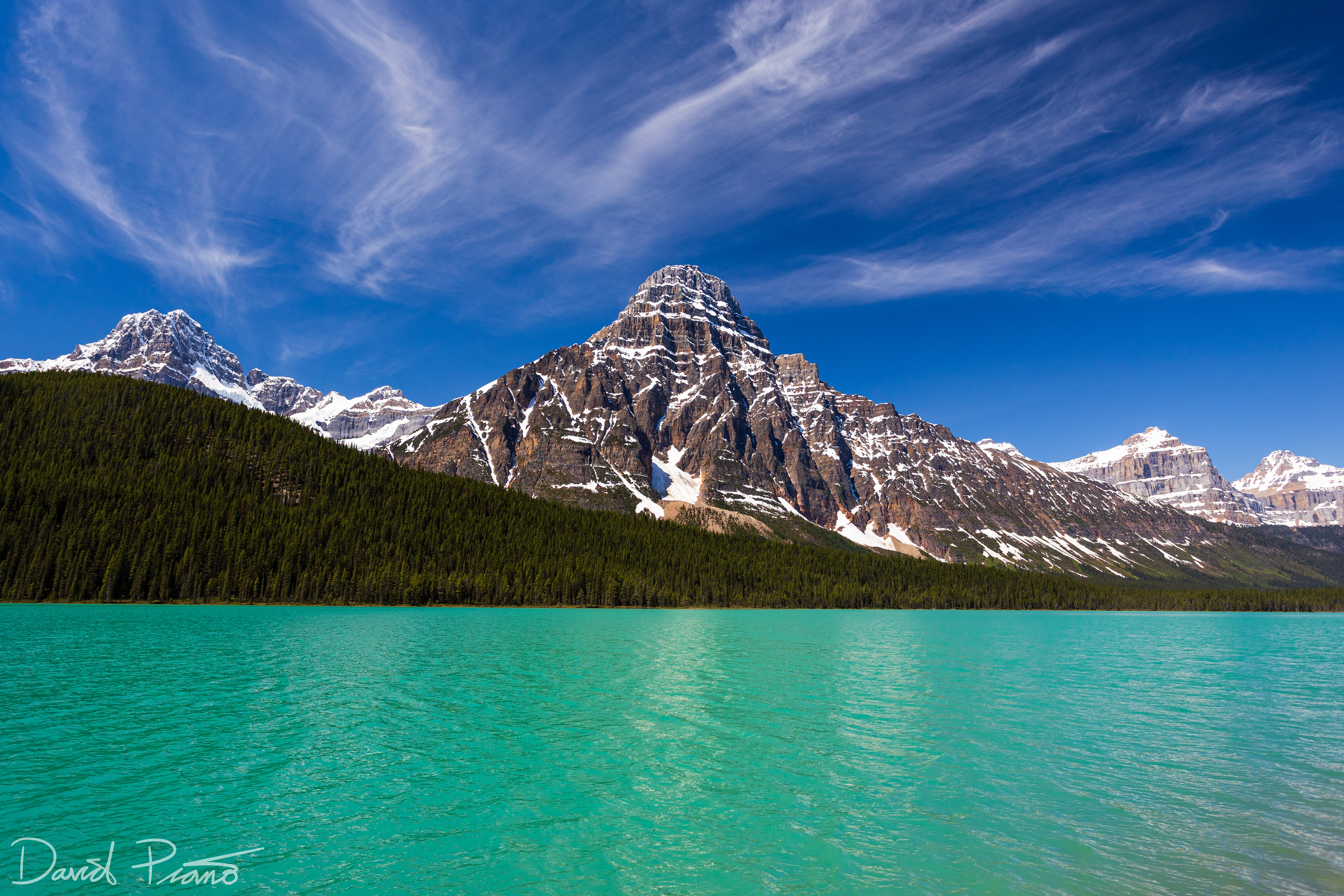 Waterfowl Lake