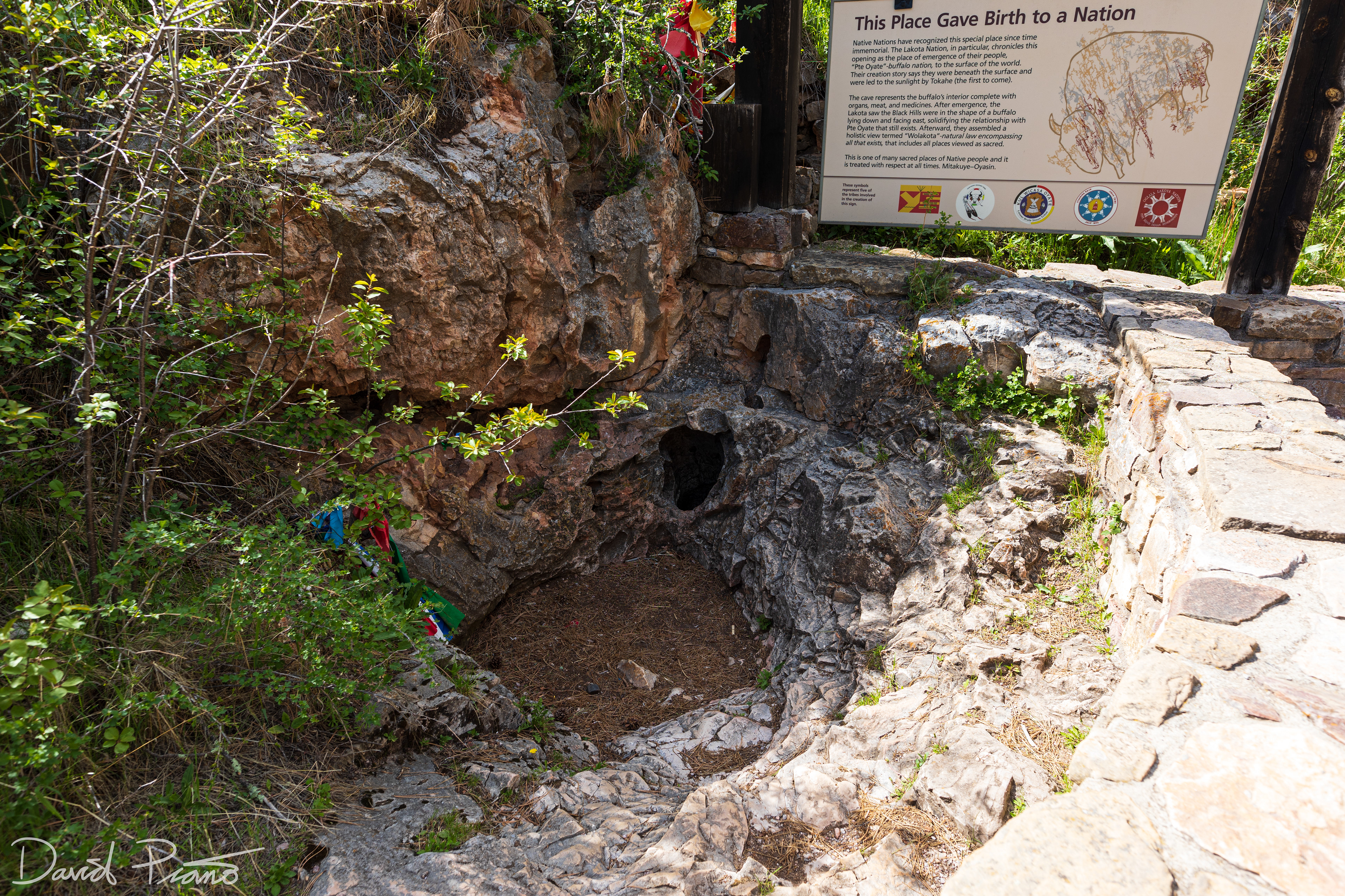 Wind Cave's natural entrance