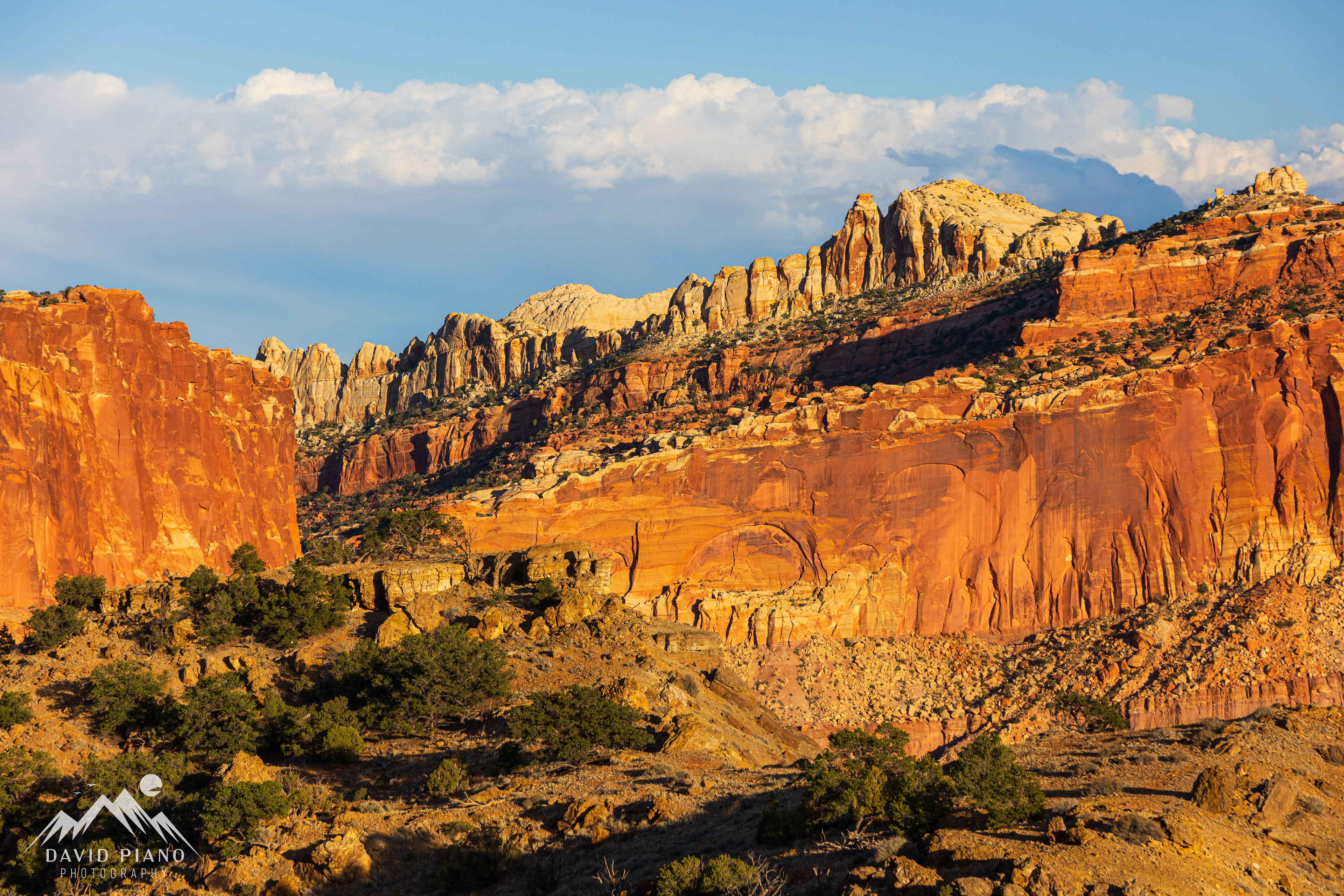 The late-day sun illuminates a sandstone escarpment viewed from the Chimney Rock Trail