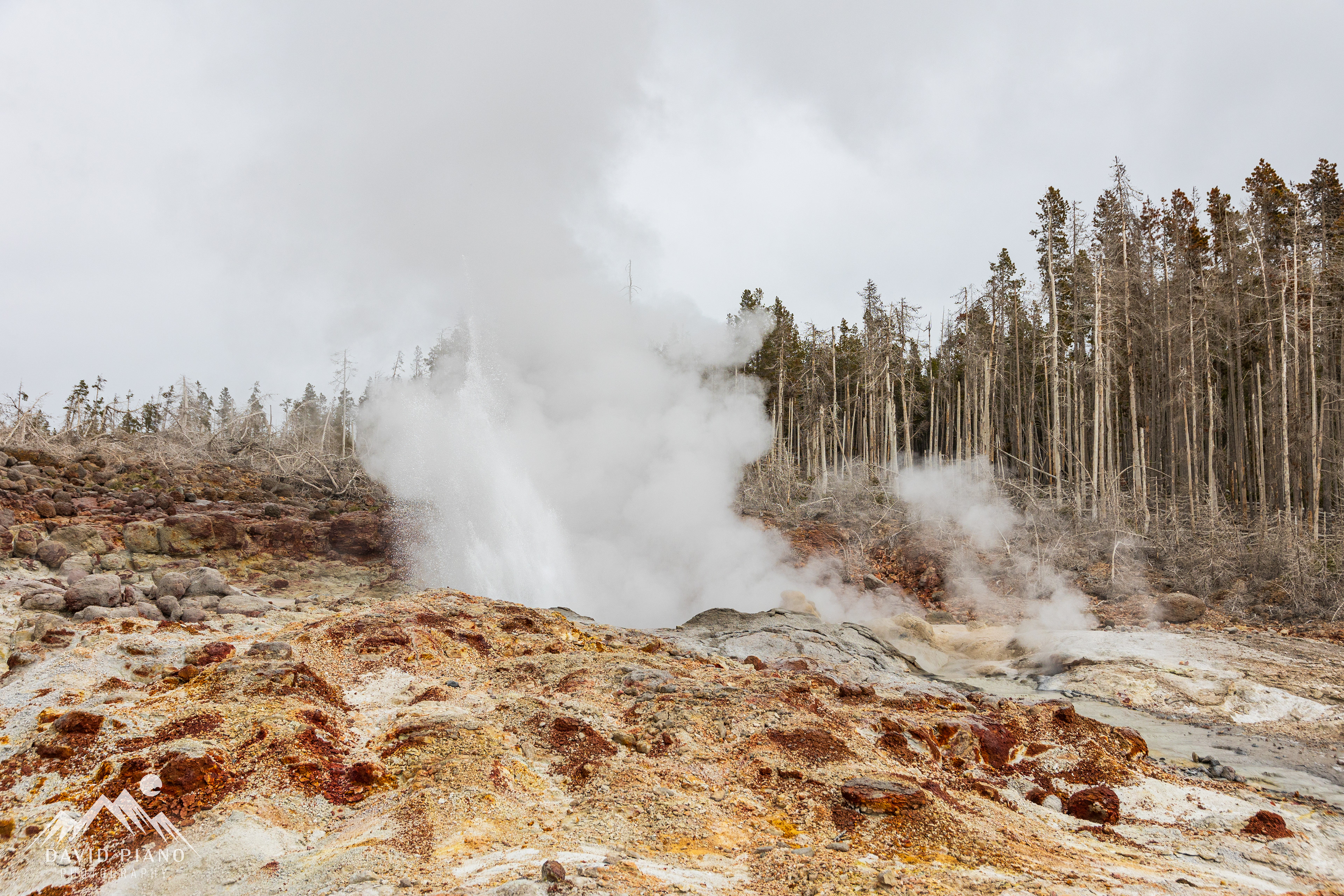 Steamboat Geyser