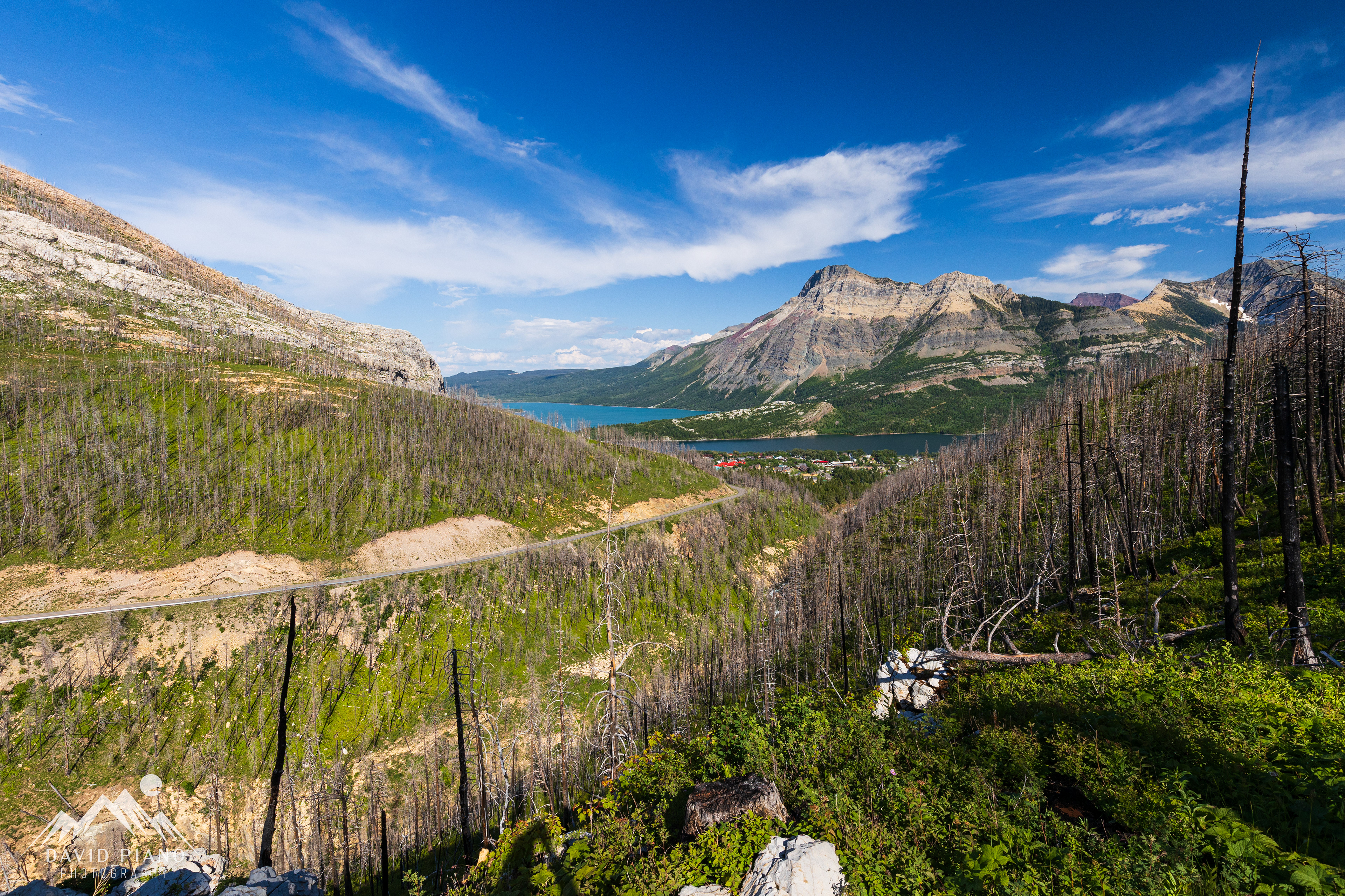 Overlooking Waterton Park from the Carthew-Alderson Trail