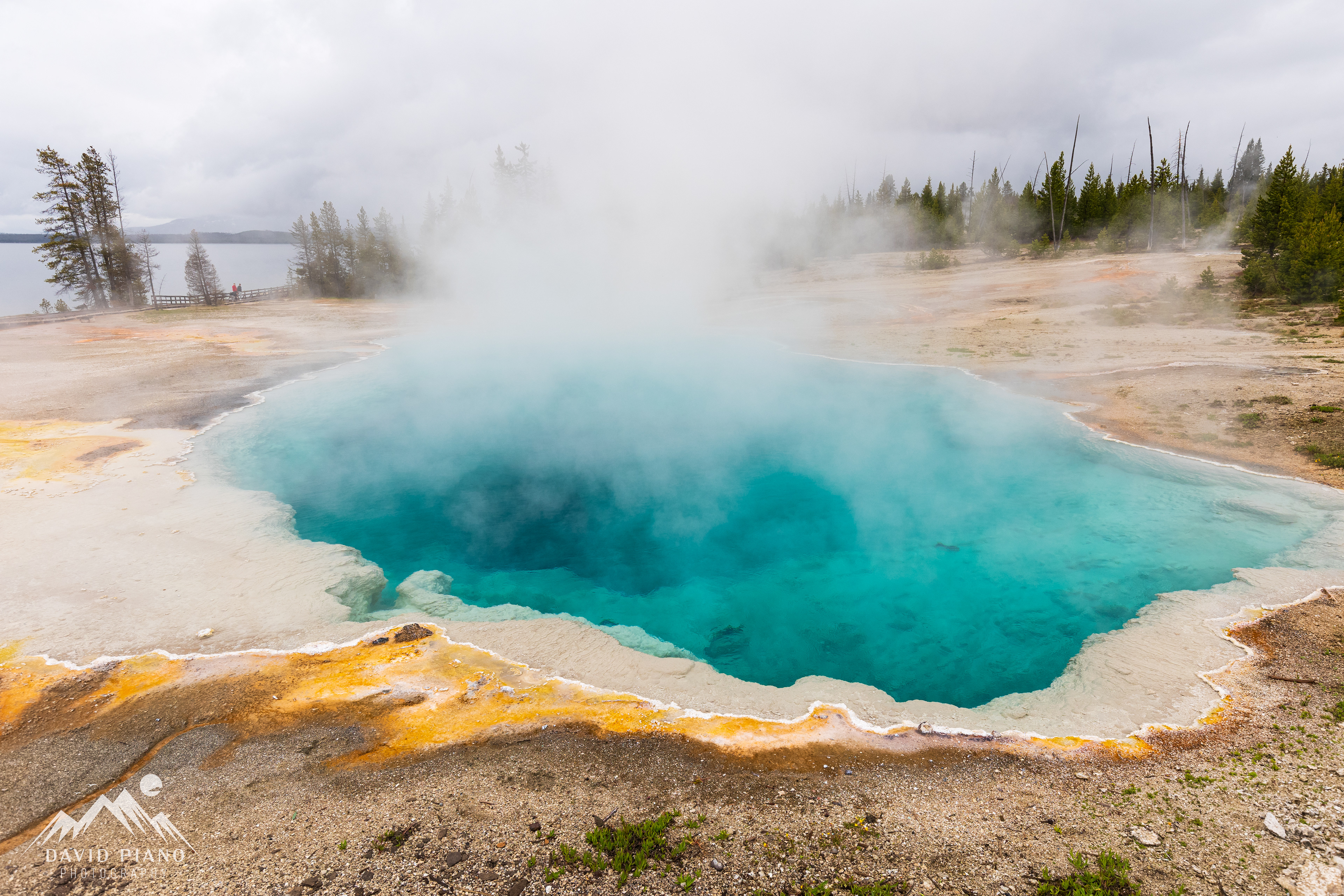 Black Pool