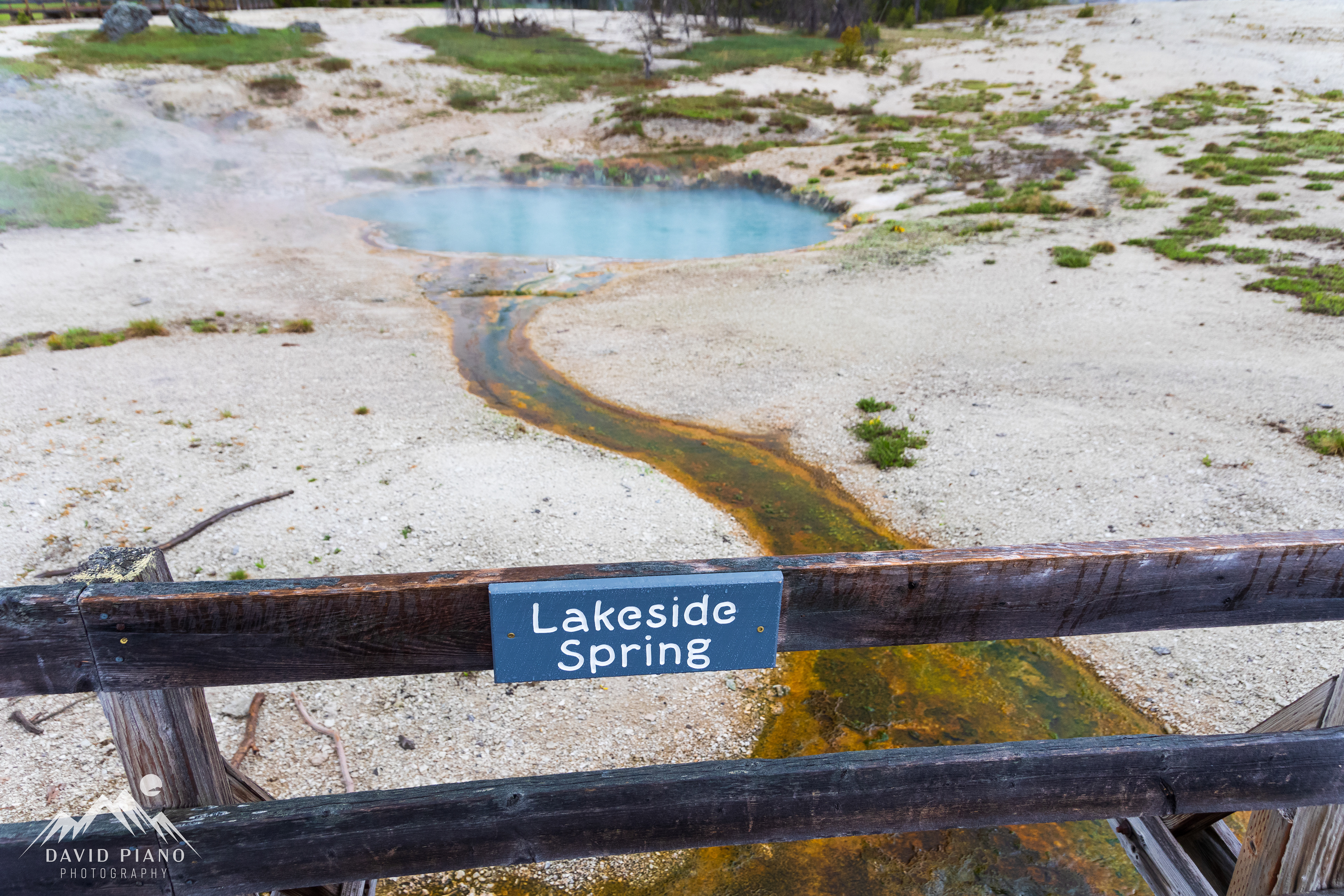 Lakeside Spring