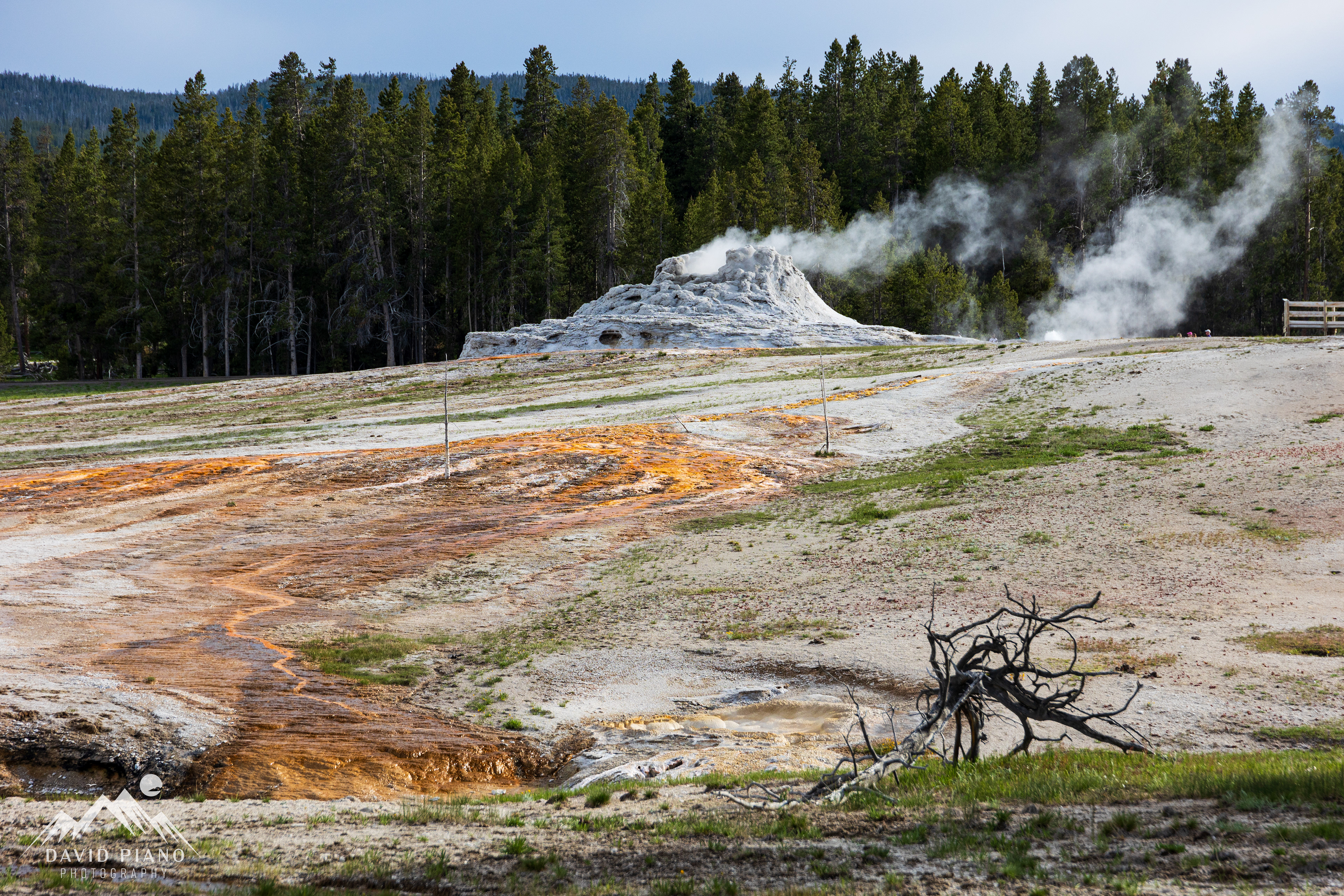 Castle Geyser