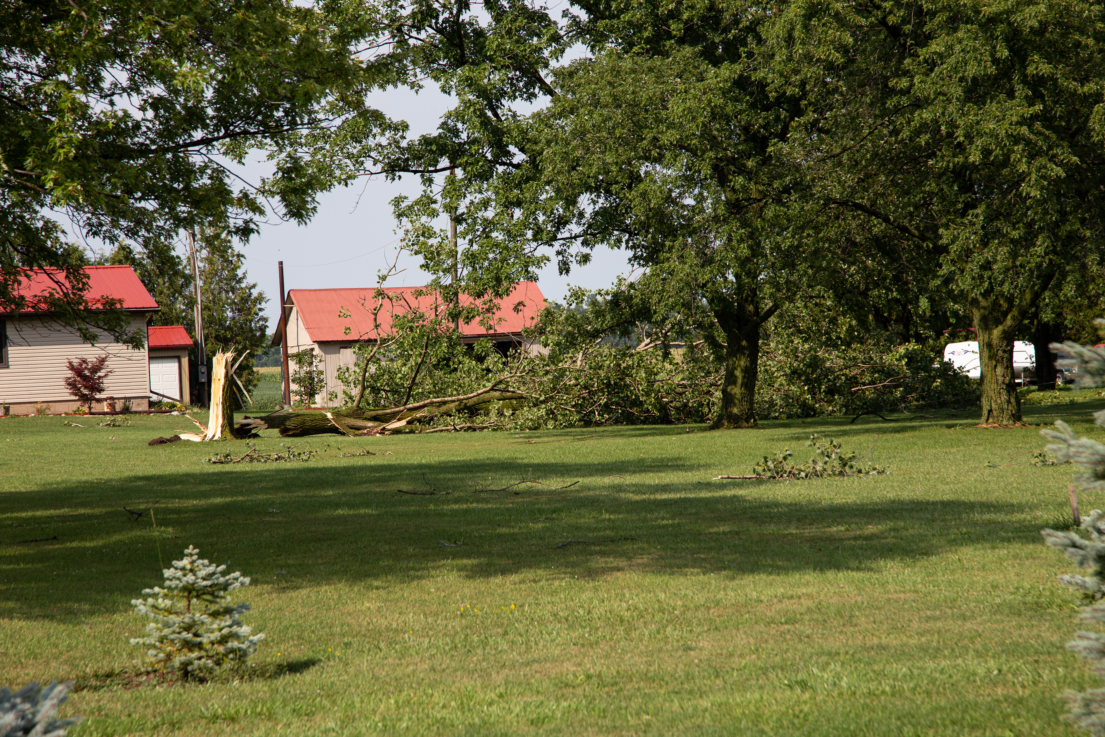 Downburst damage near Wyoming in Lambton County - Aug. 24