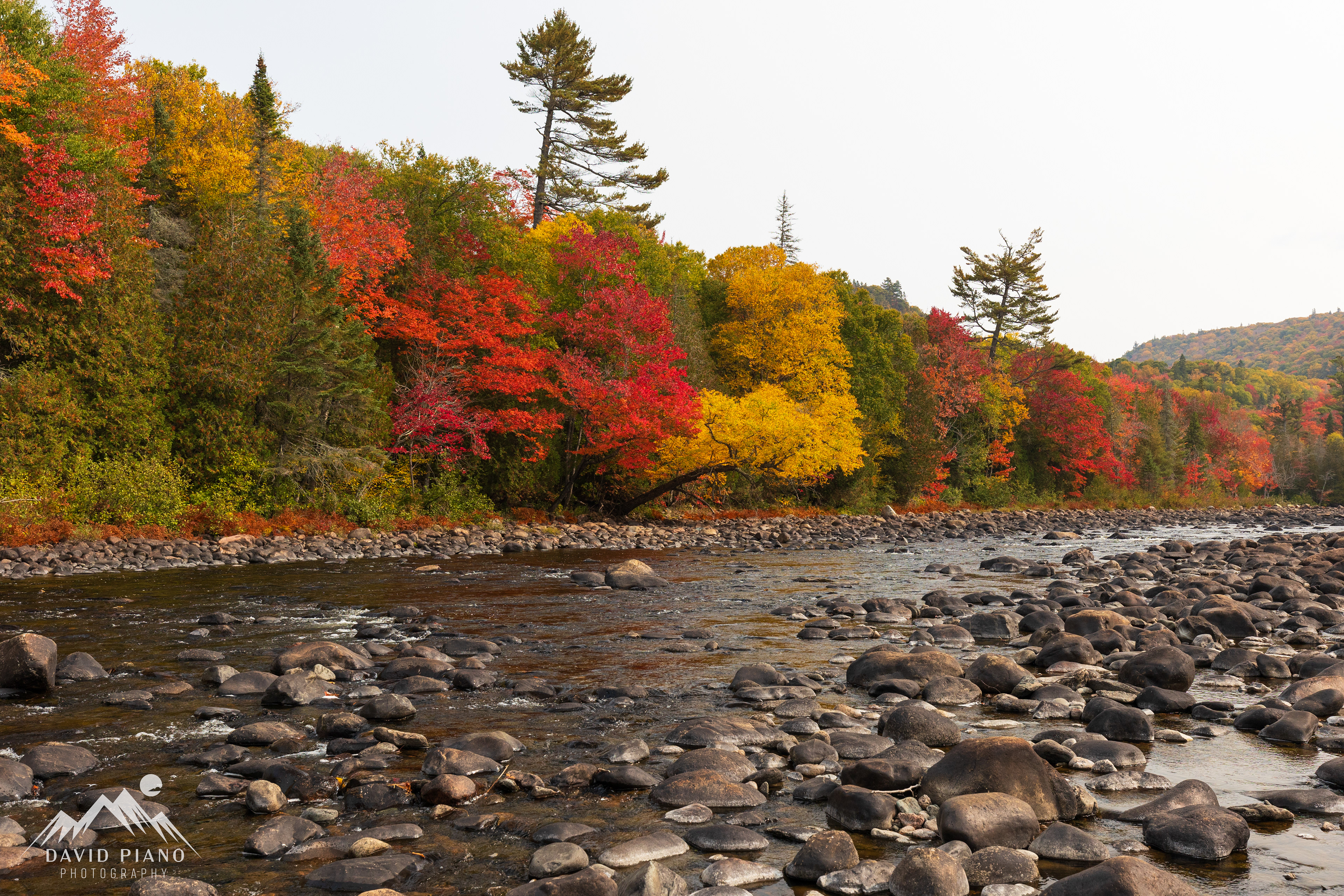 Fall colours on the Agawa River