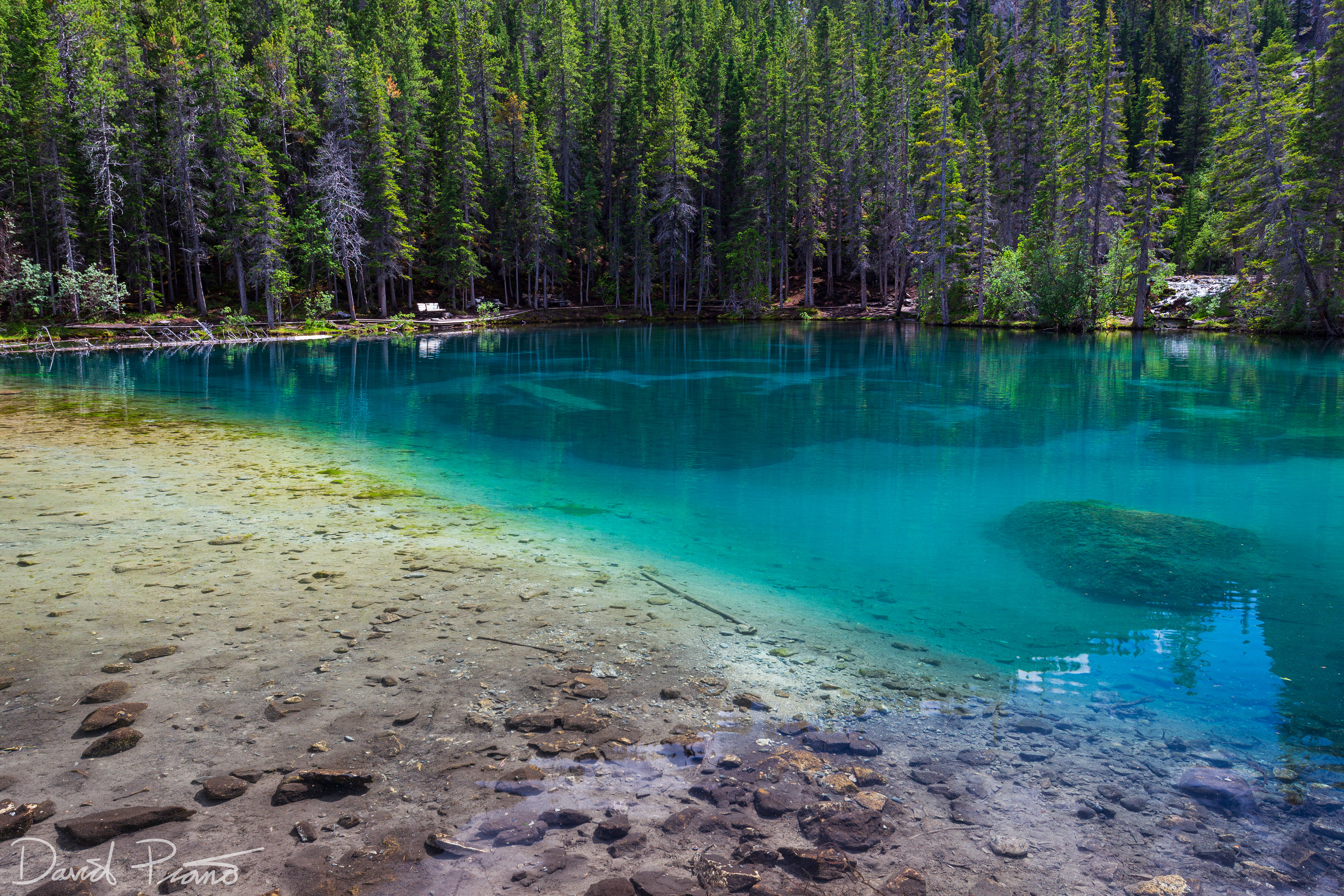 The crystal-clear emerald waters of the Grassi Lakes in Canmore, AB - June 2021