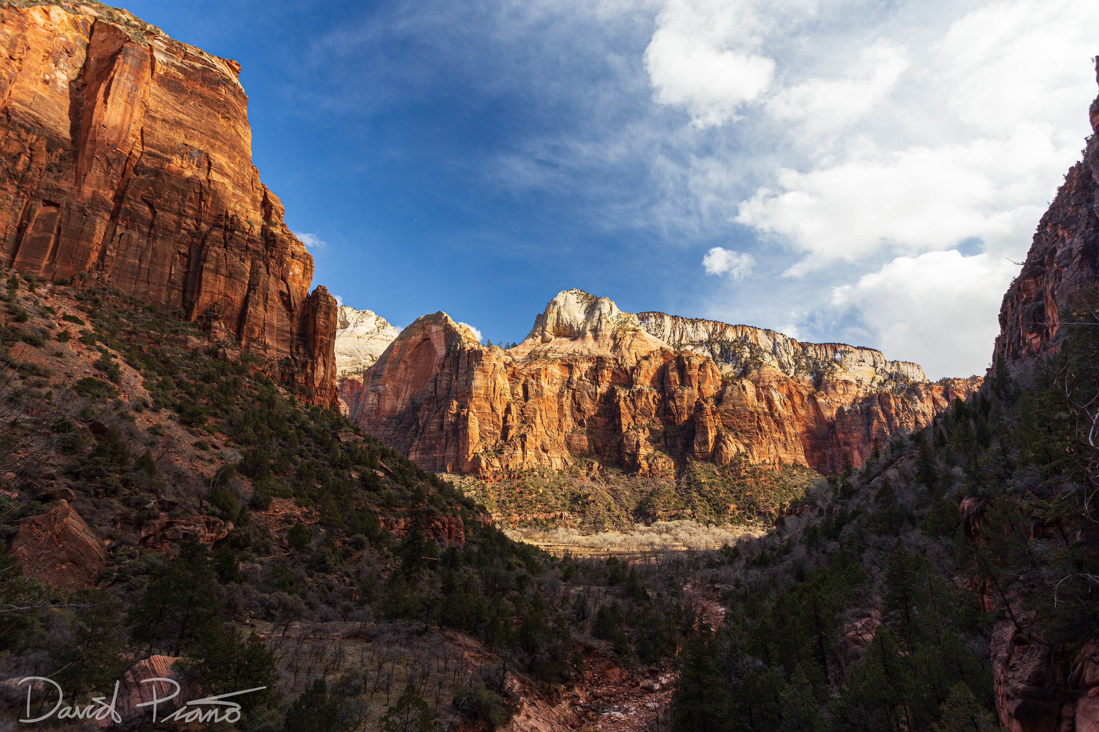 Zion Canyon - Feb. 2020