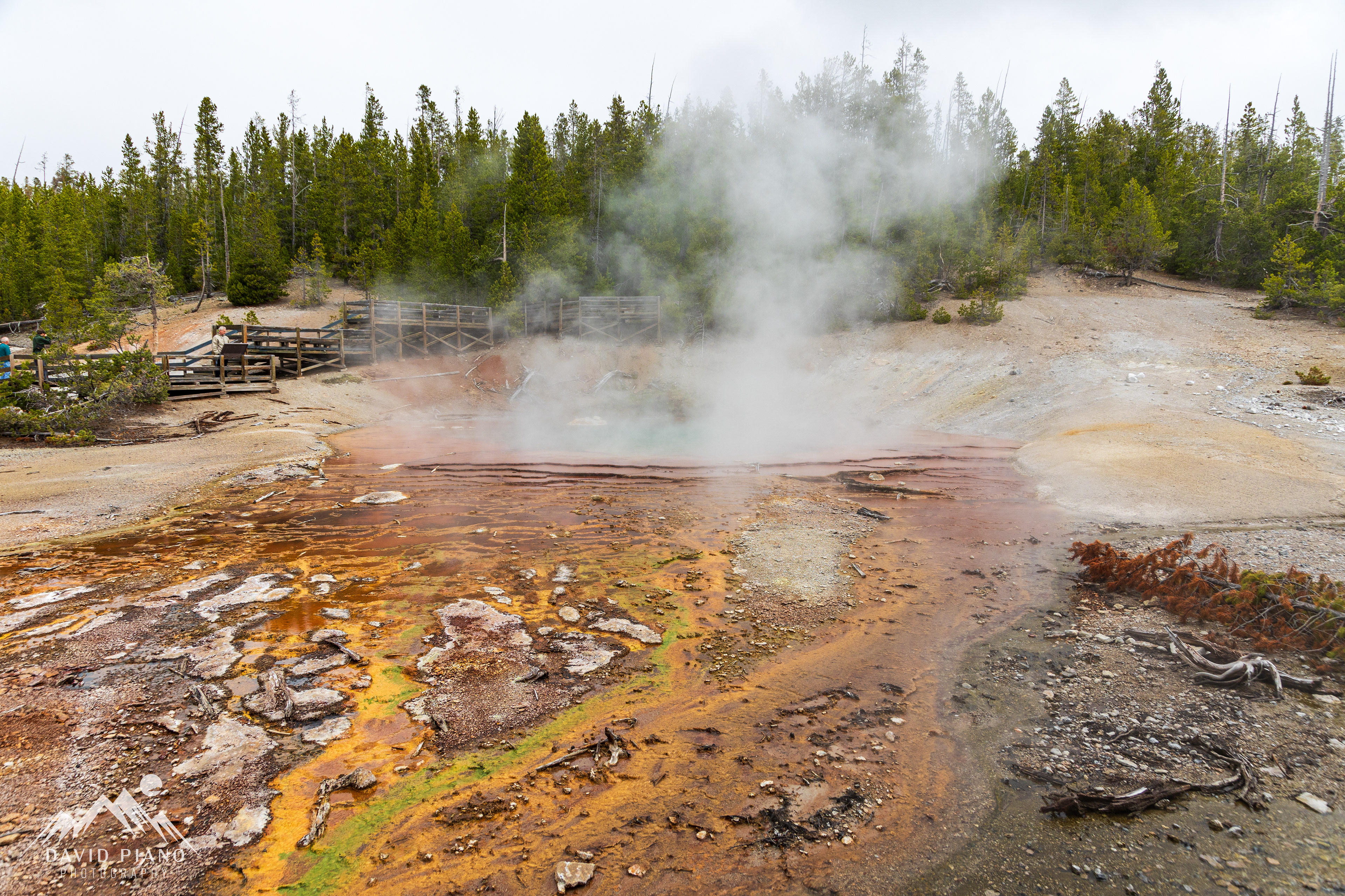 Echinus Geyser