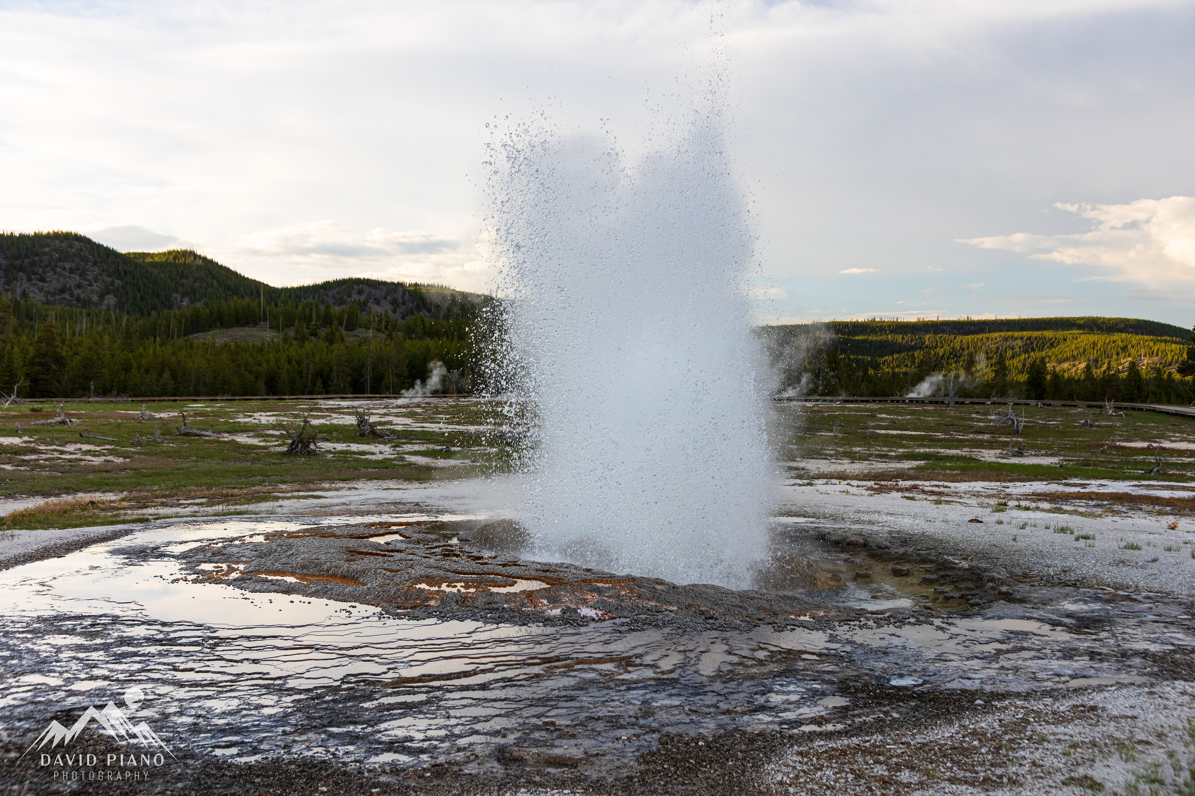 Jewel Geyser