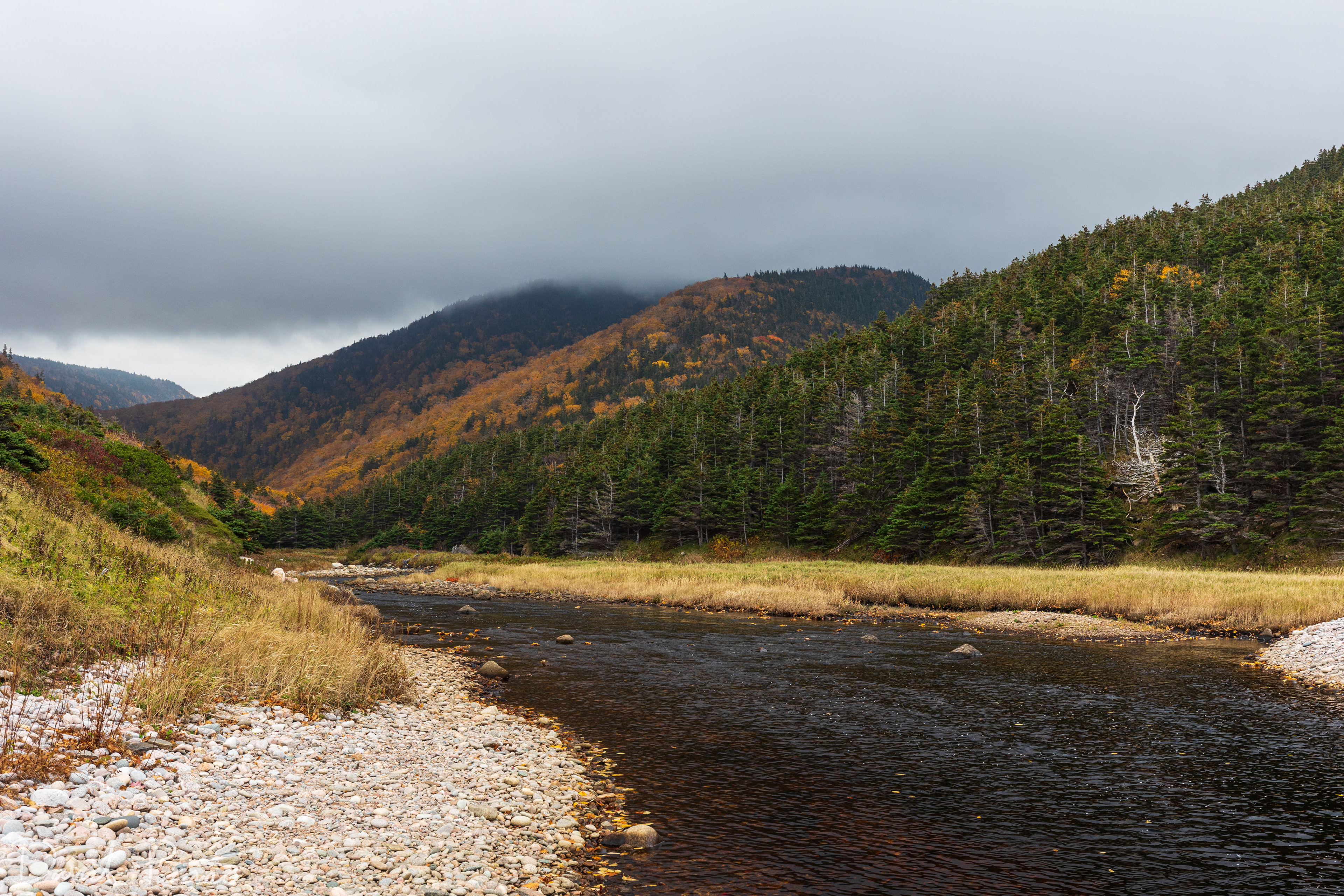 Fishing Cove Backcountry Campground