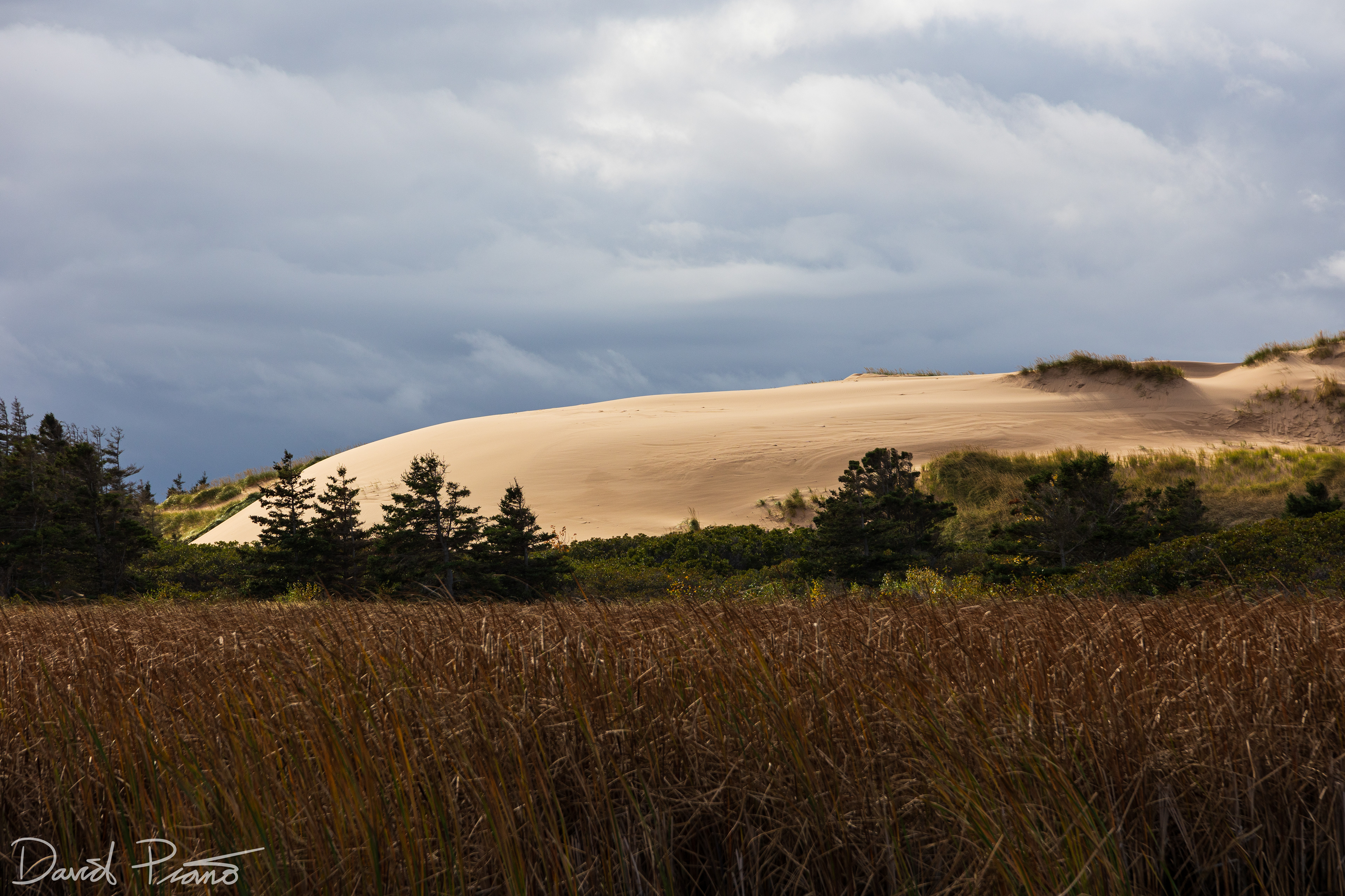 Greenwich Sand Dunes