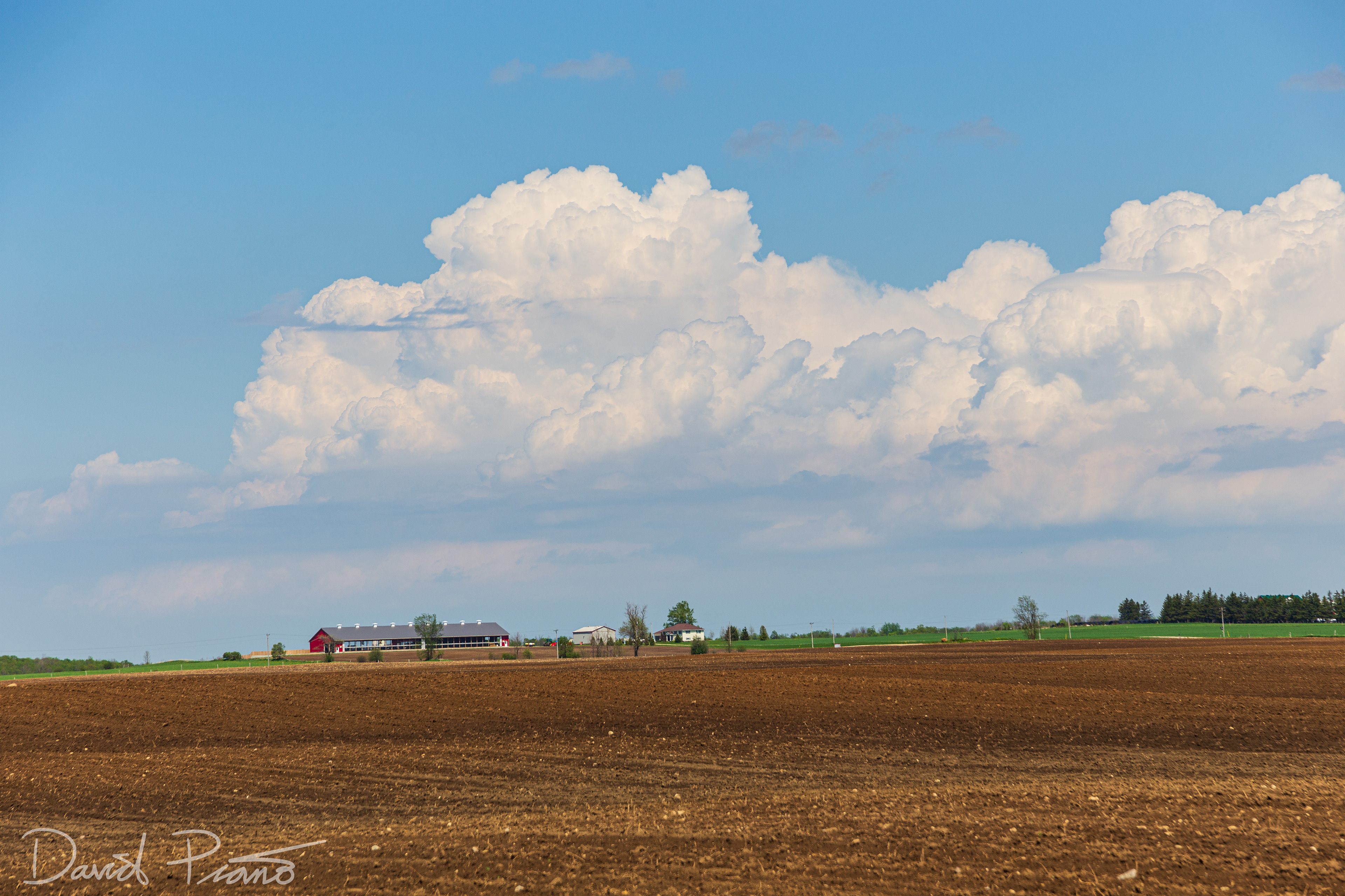 Distant cumulonimbus - May 24