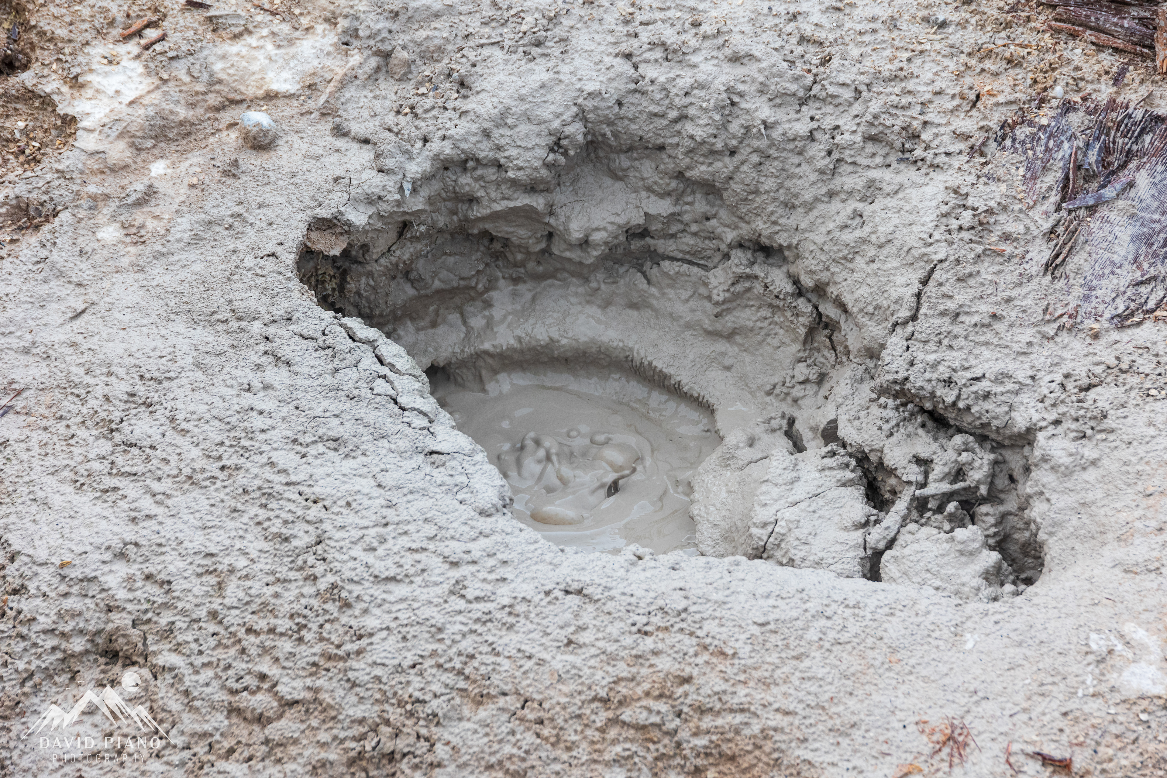 Small mud pot