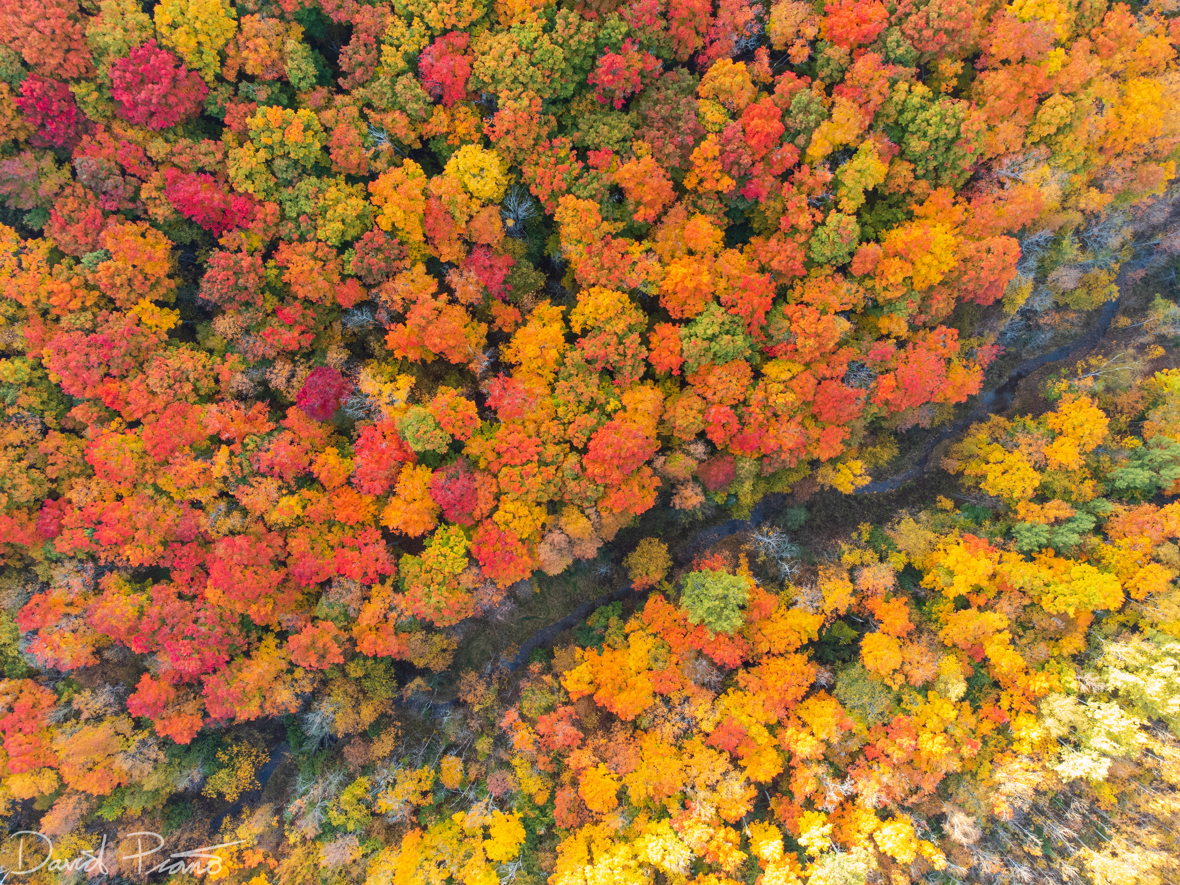 Fall colours in the Kolapore Uplands - October 2021