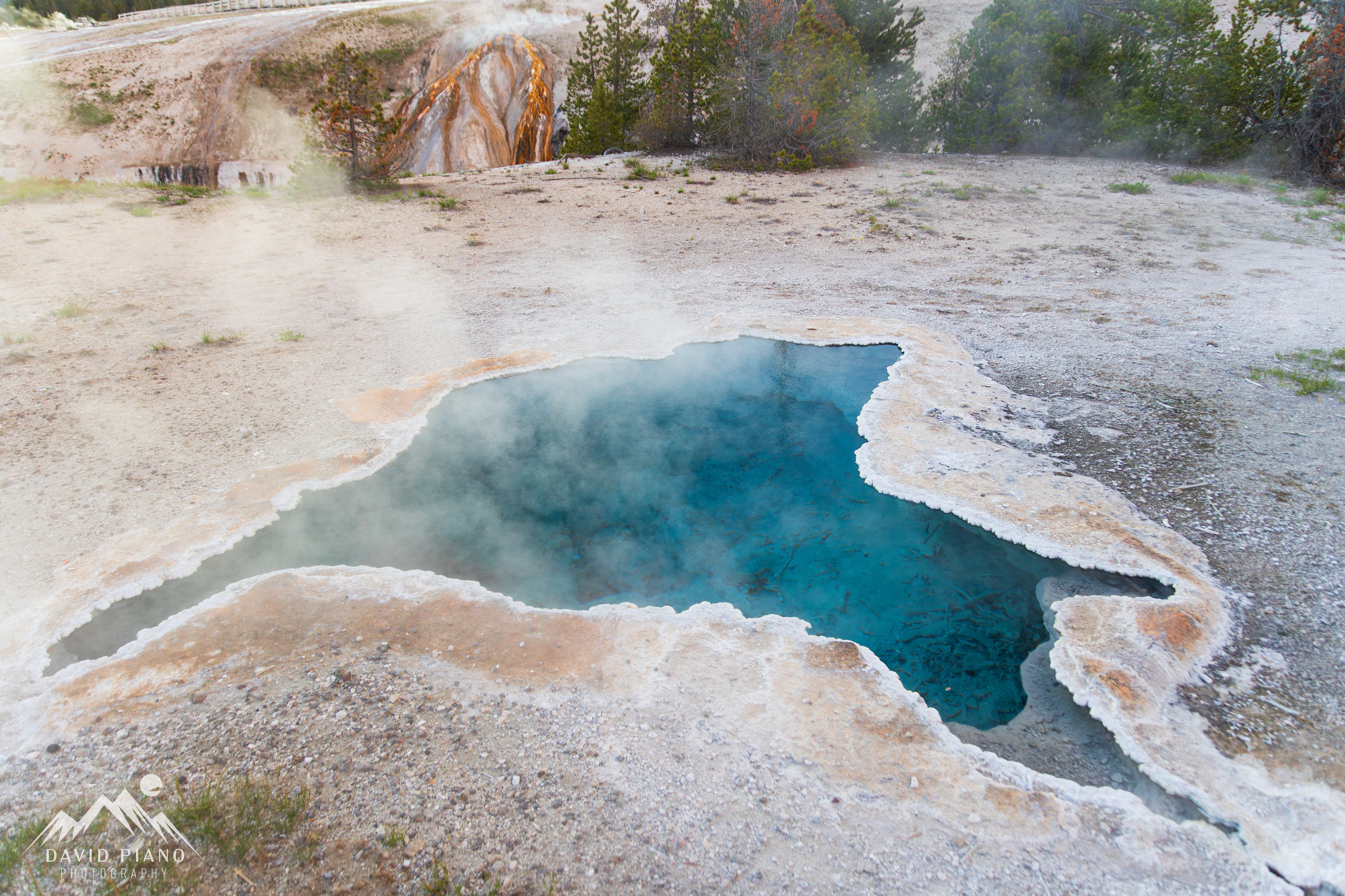 Blue Star Spring