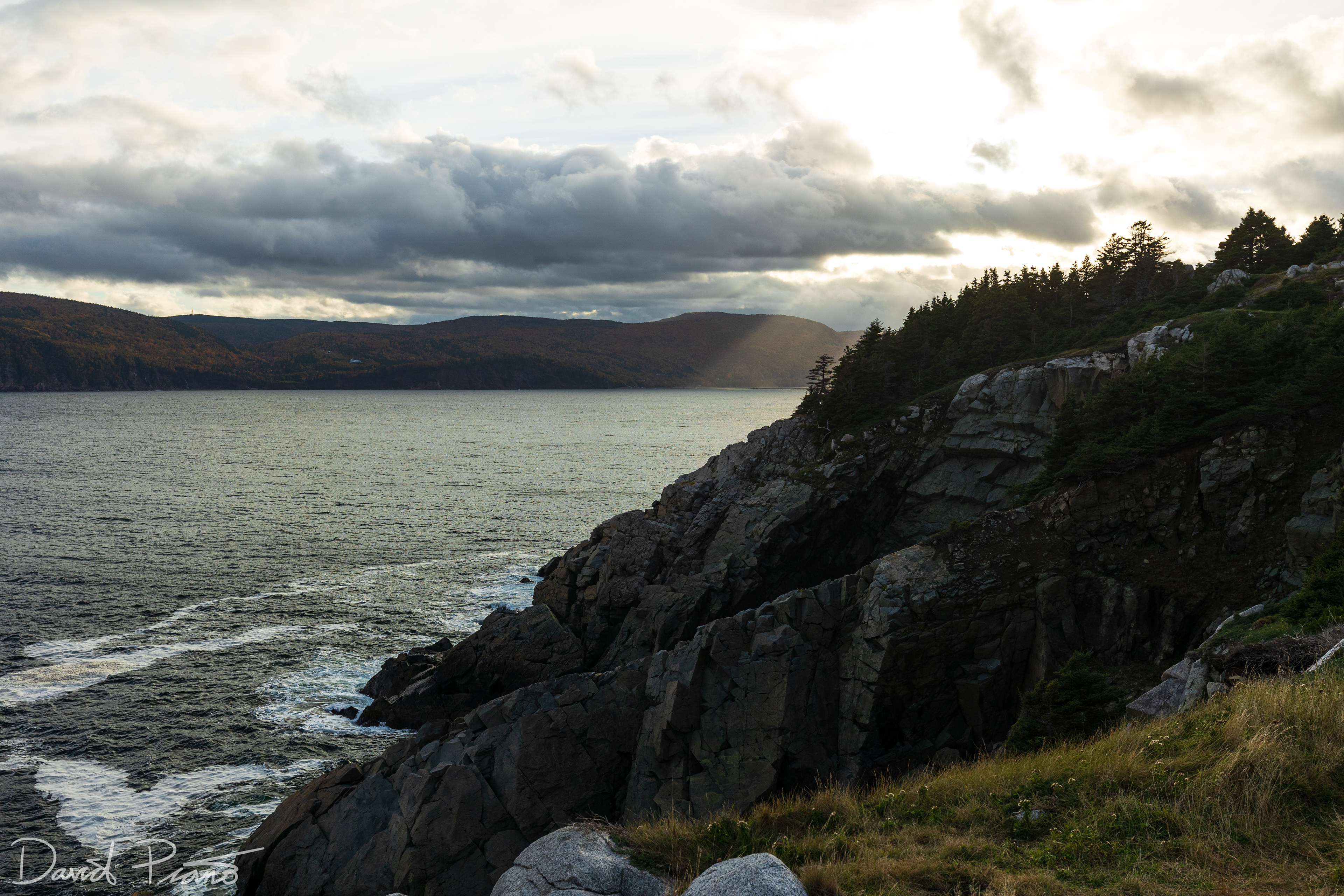 Middle Head Trail