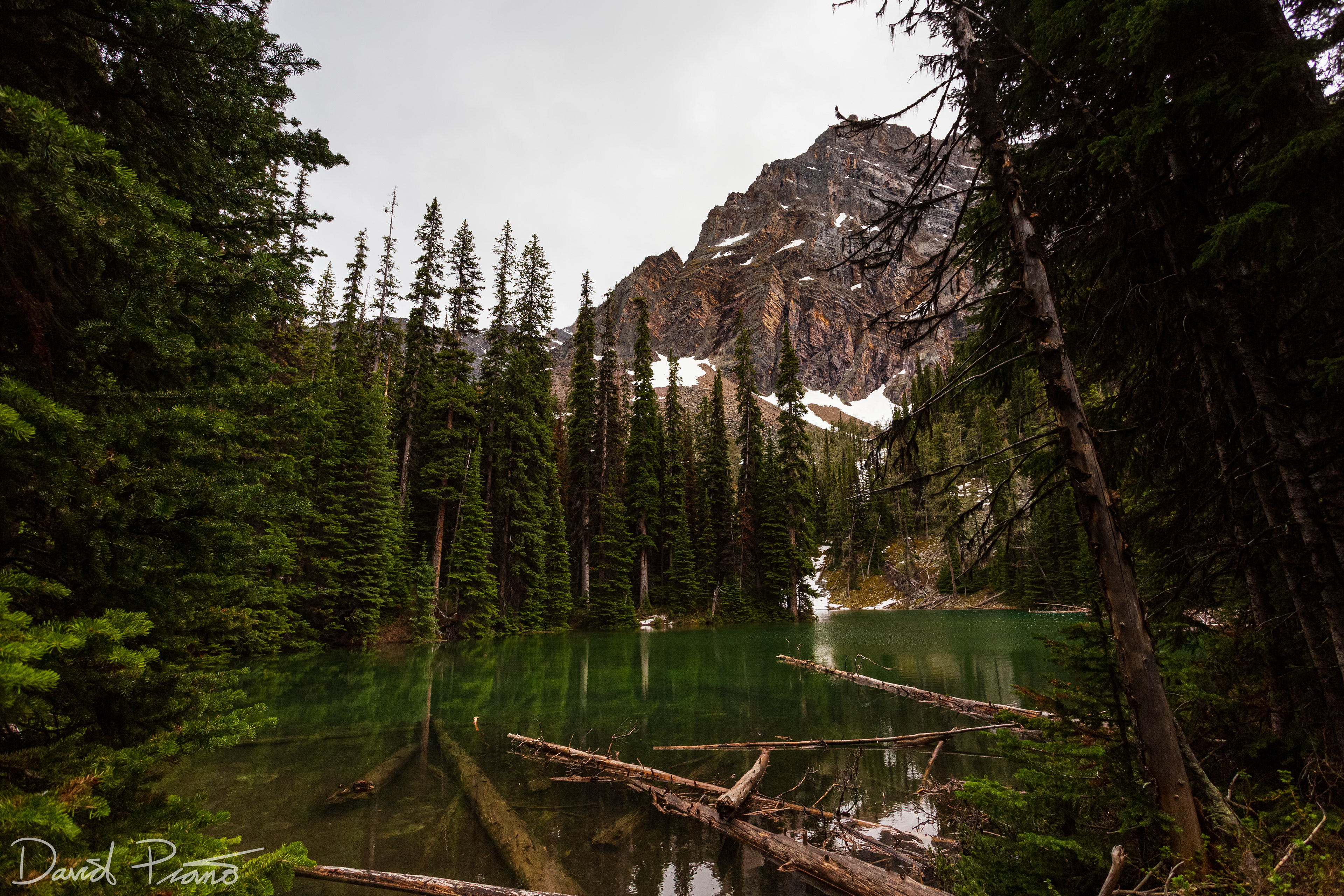 Arnica Lake, Banff National Park - June 2021