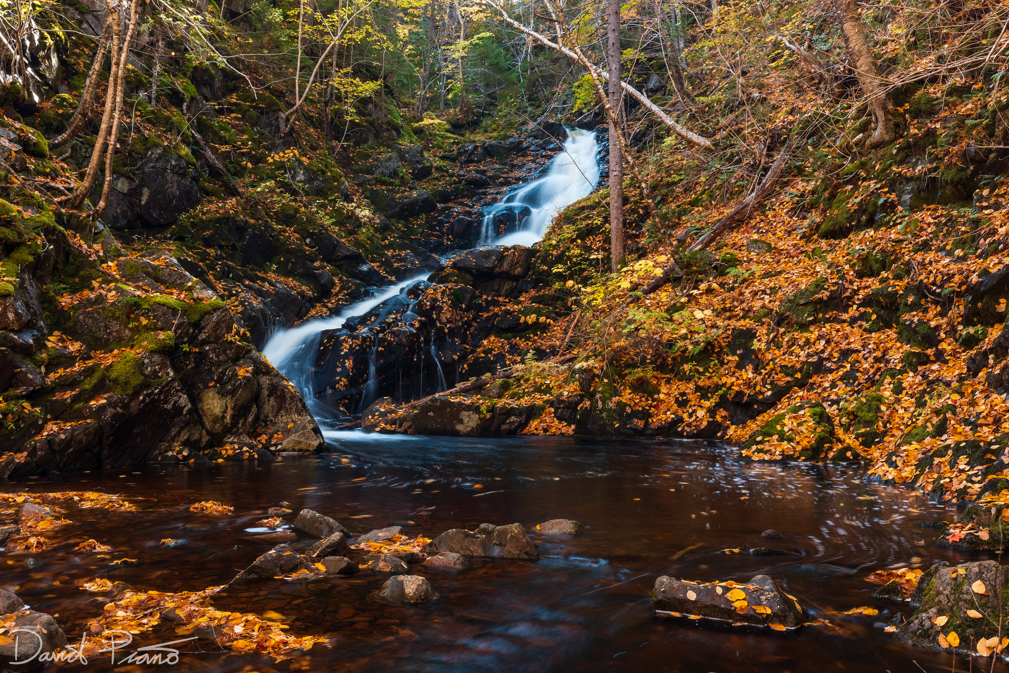 MacIntosh Brook Falls