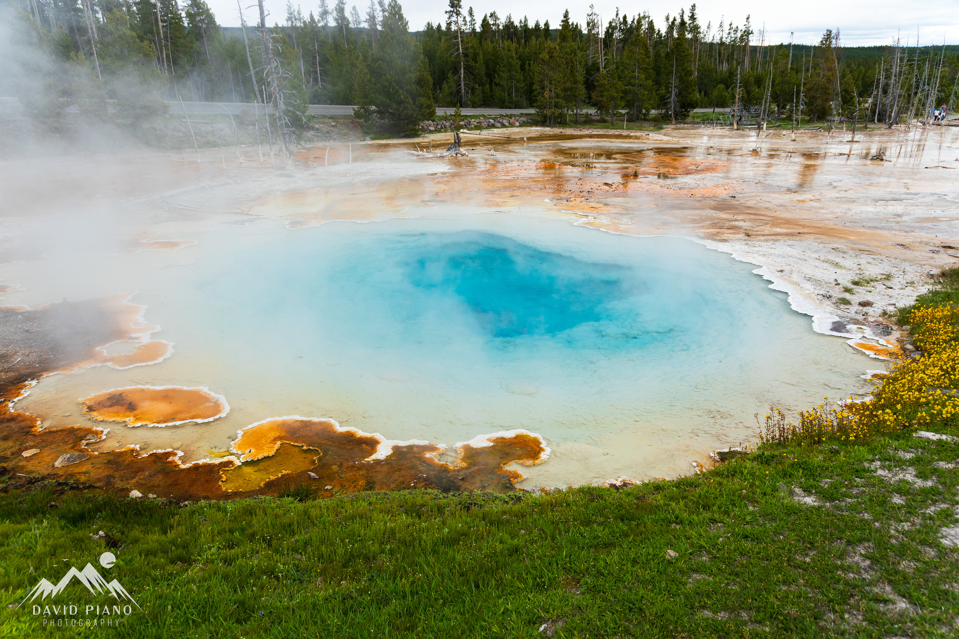 Silex Spring