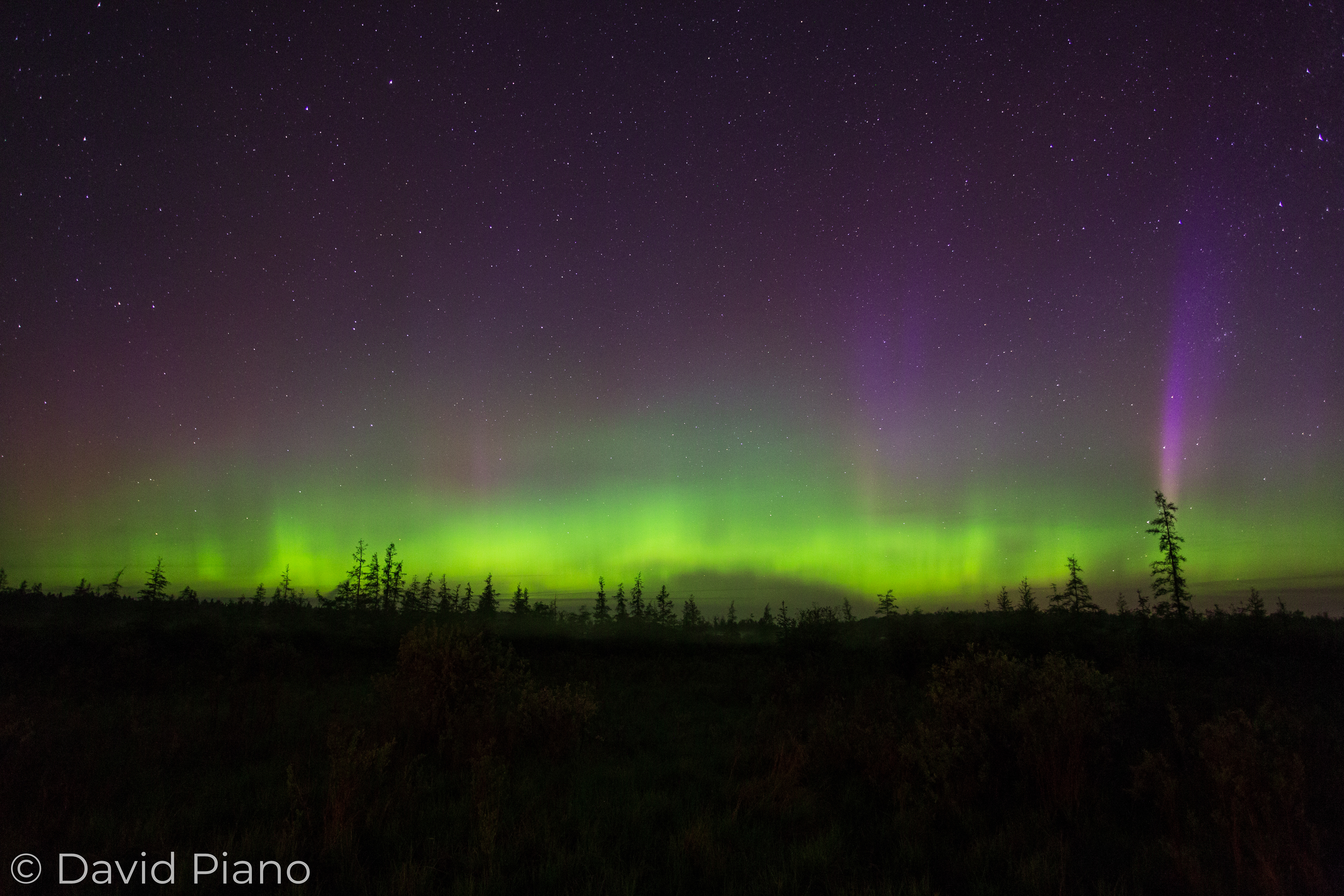 Northern Lights Over Luther Marsh, ON - 05/28/2017