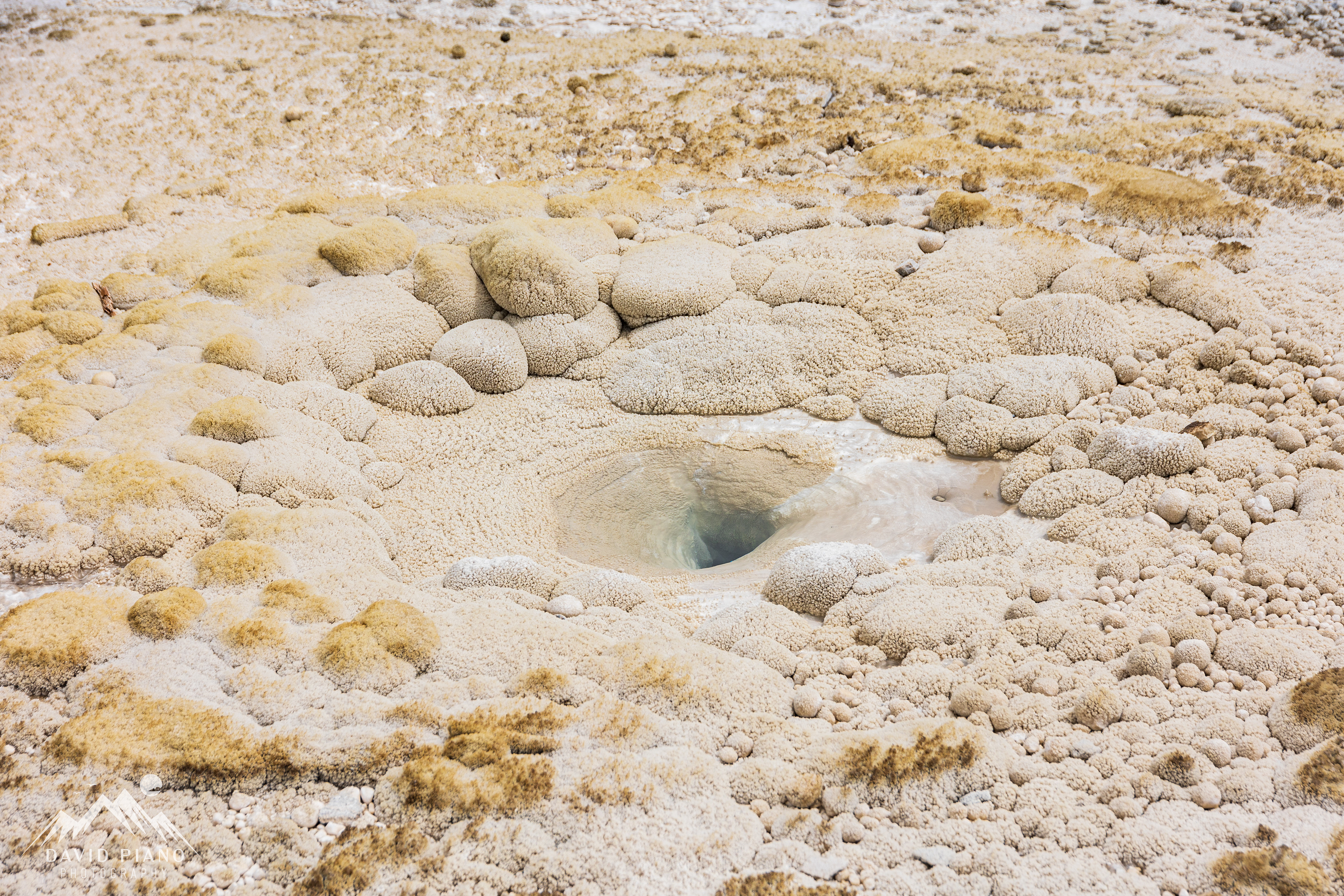 Vixen Geyser vent and sinter formations